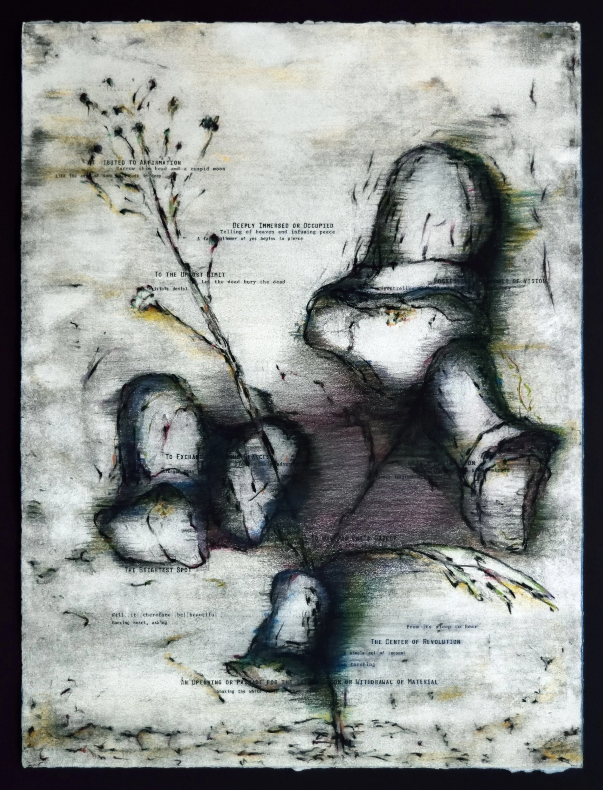    Pacifica, an Introduction     Pacifica Portfolio (#4) , Lithograph, daisywheel and pencil on Rives BFK, 15 x 20 