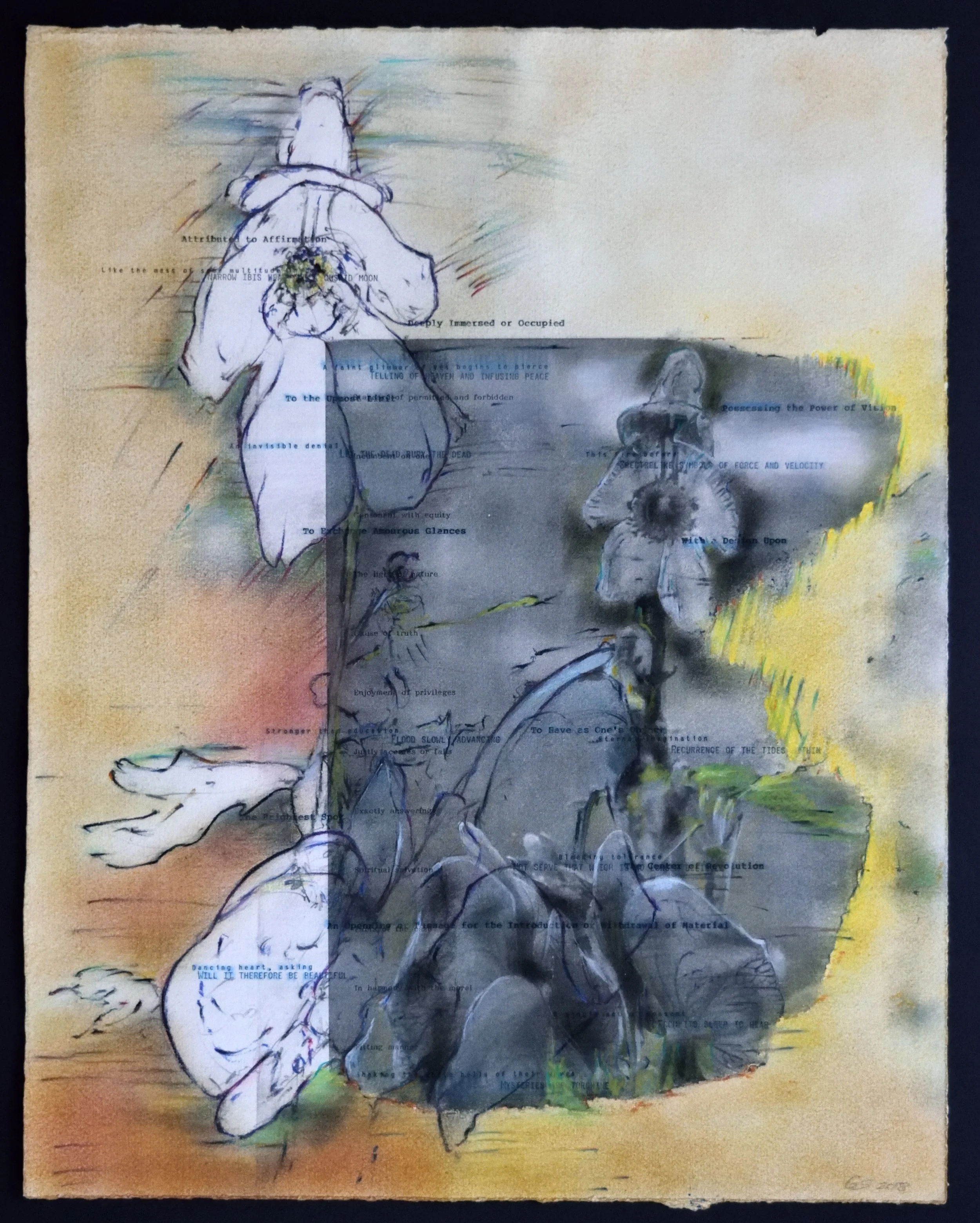    Study for The Pacifist     Pacifica Portfolio (#6 ), Photocopy transfer, pencil and daisywheel on Crisbrook, 16 x 20 