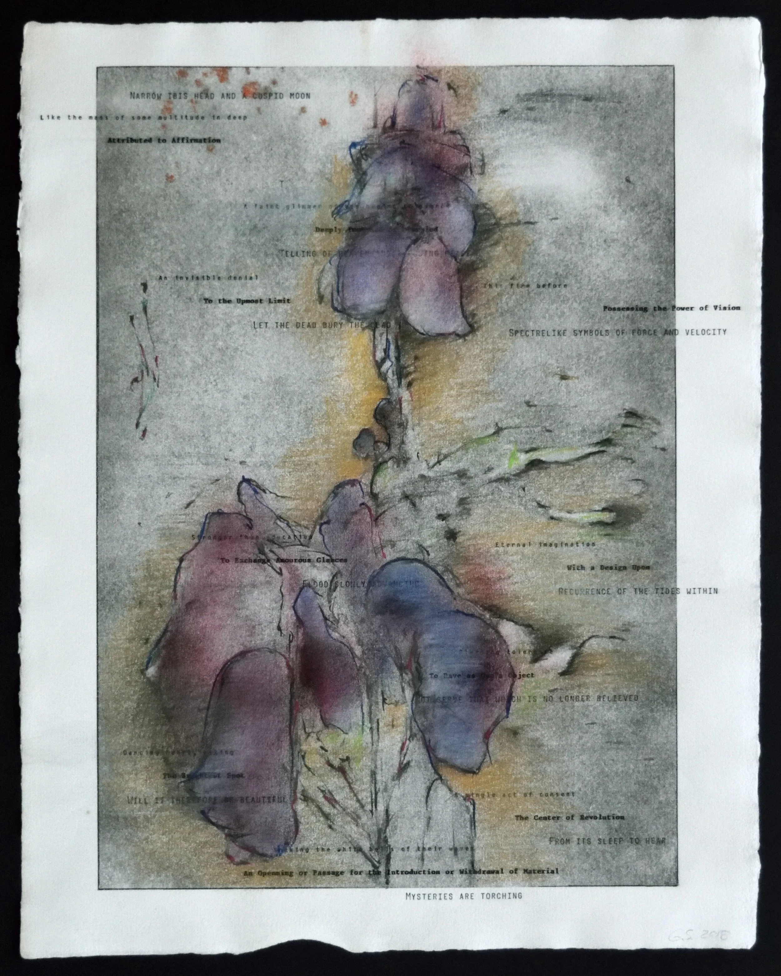    Pacifica, an Introduction     Pacifica Portfolio (#7),  drawing with photocopy transfer and daisywheel on Hodgkinson, 14 x 17 