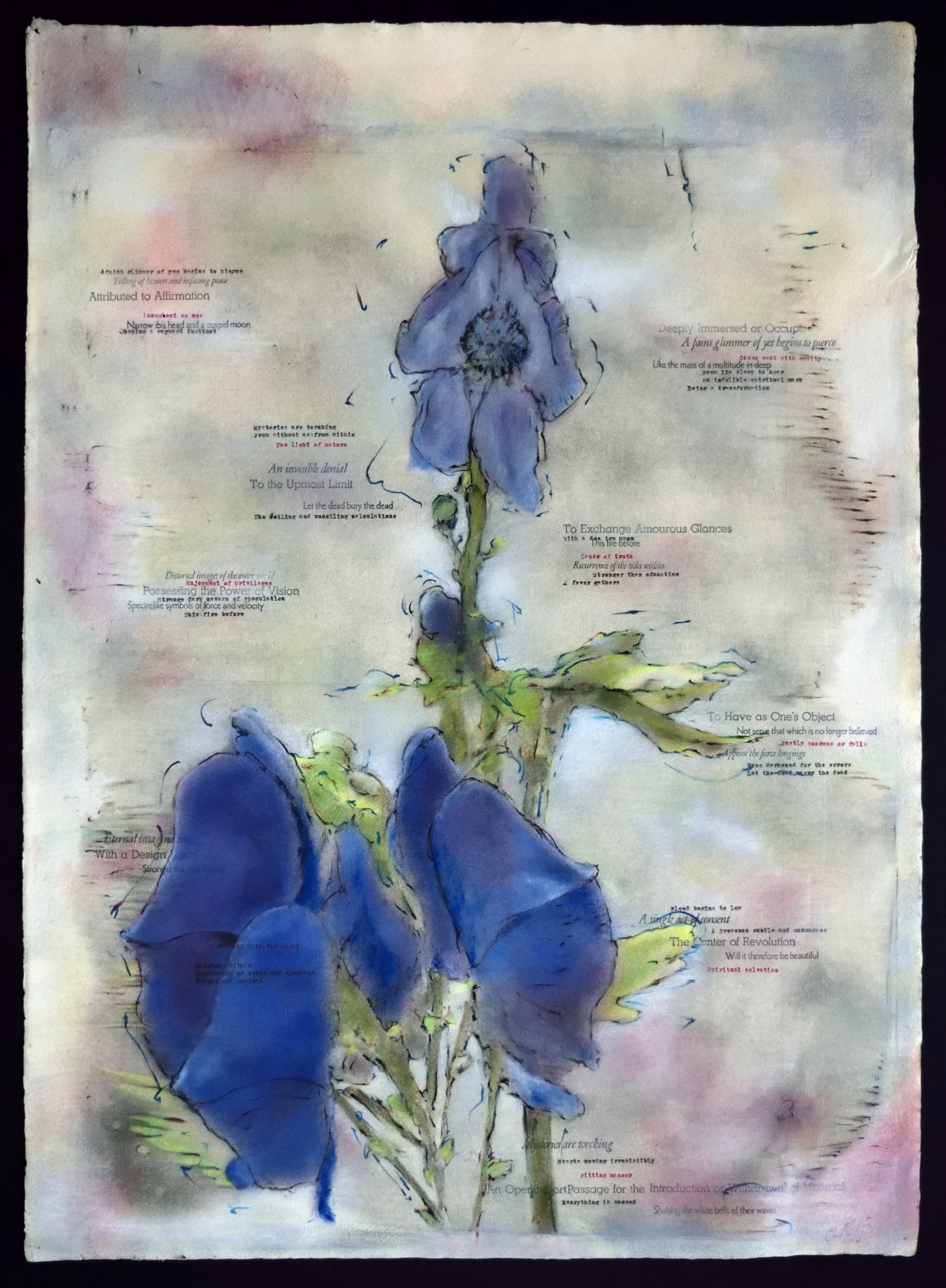    Pacifica, an Introduction     Pacifica Portfolio (#12),  Photocopy transfer, pencil, typewriter, letterpress on Umbria, 20 x 28 