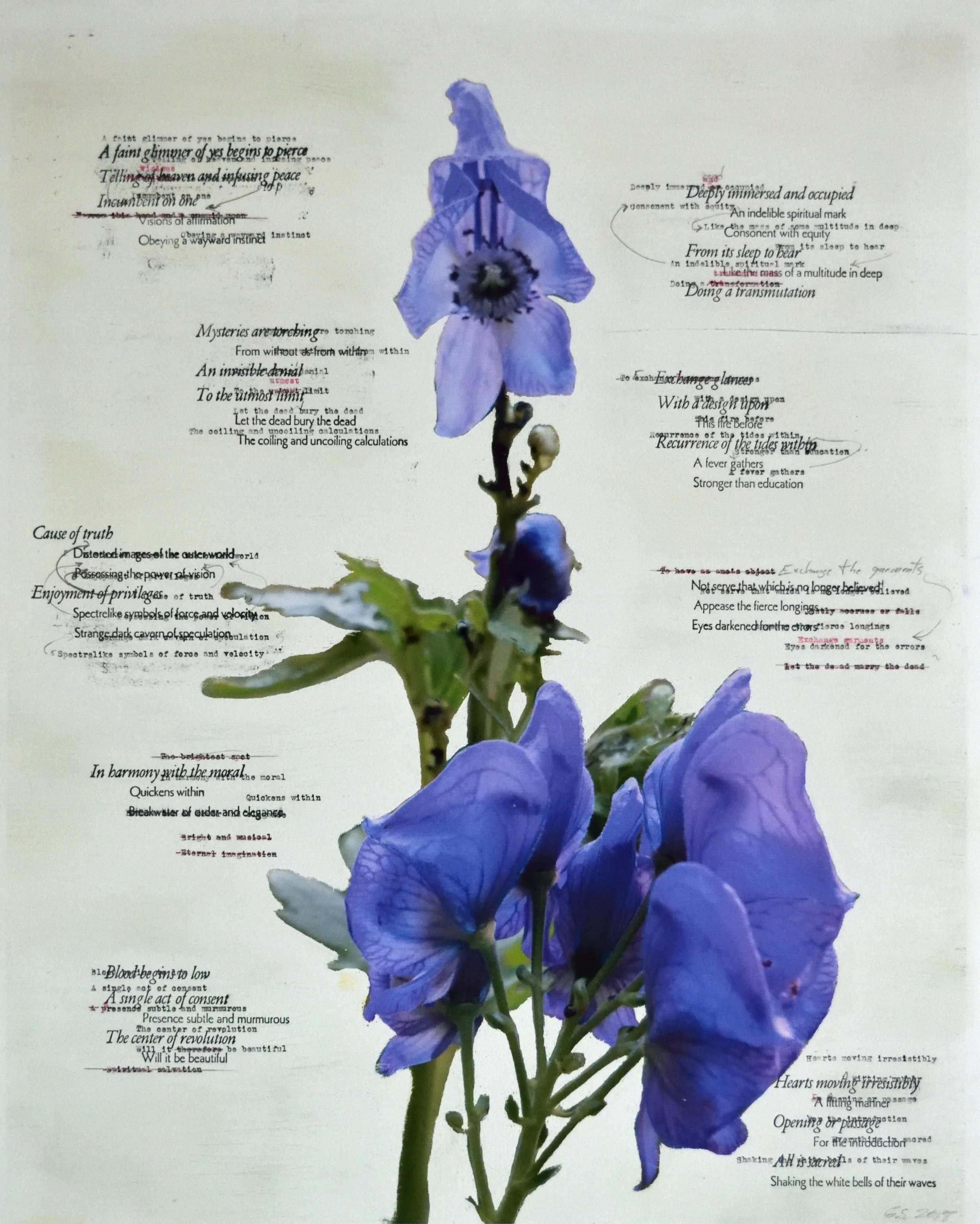    Pacifica, an Introduction     Pacifica Portfolio (#13) , Typewriter, letterpress on rag ink-jet paper, 17 x 22 