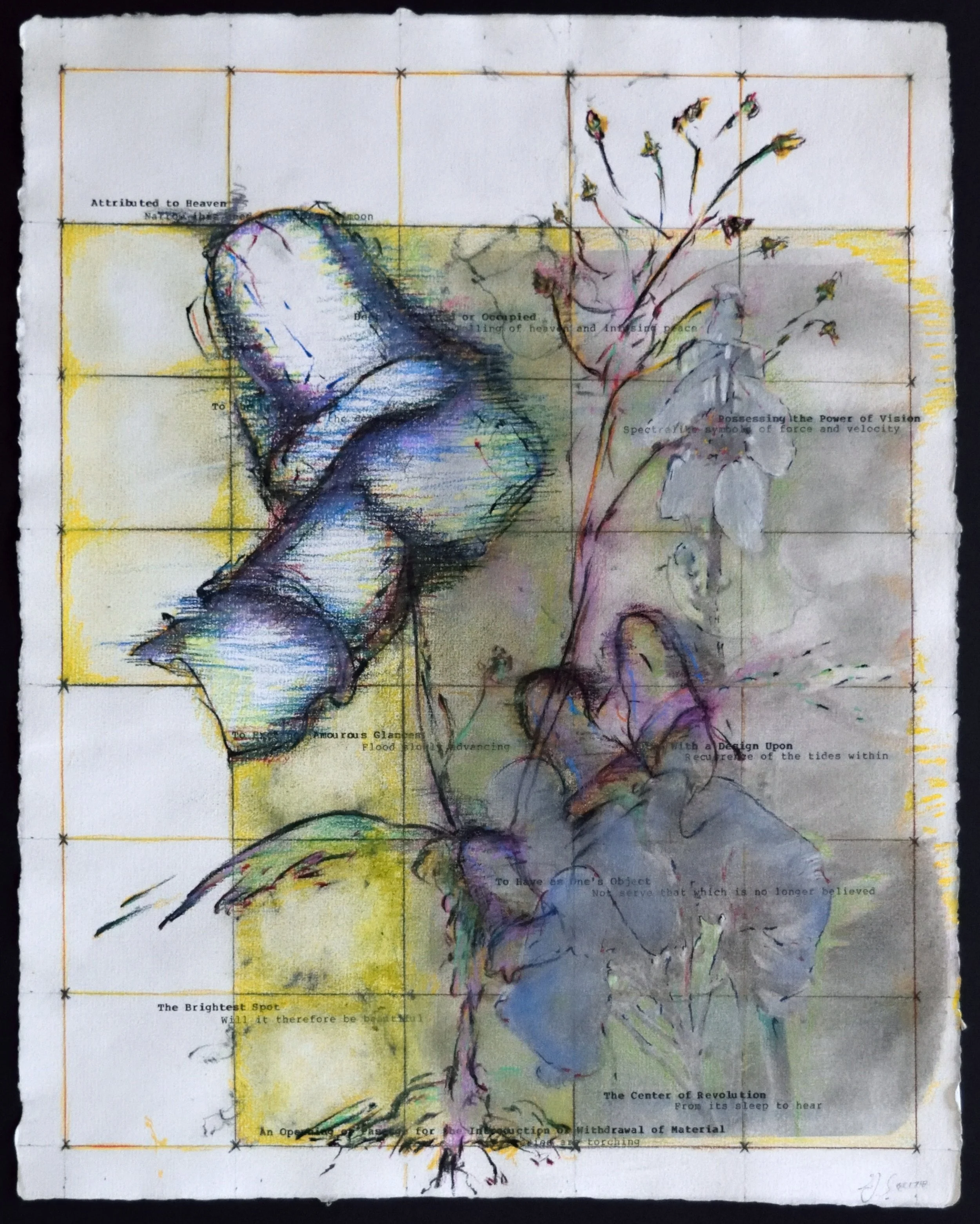    Pacifica, an Introduction     Pacifica Portfolio (#3),  Drawing with photocopy transfer and daisywheel on Hodgkinson Handmade, 14 x 17 