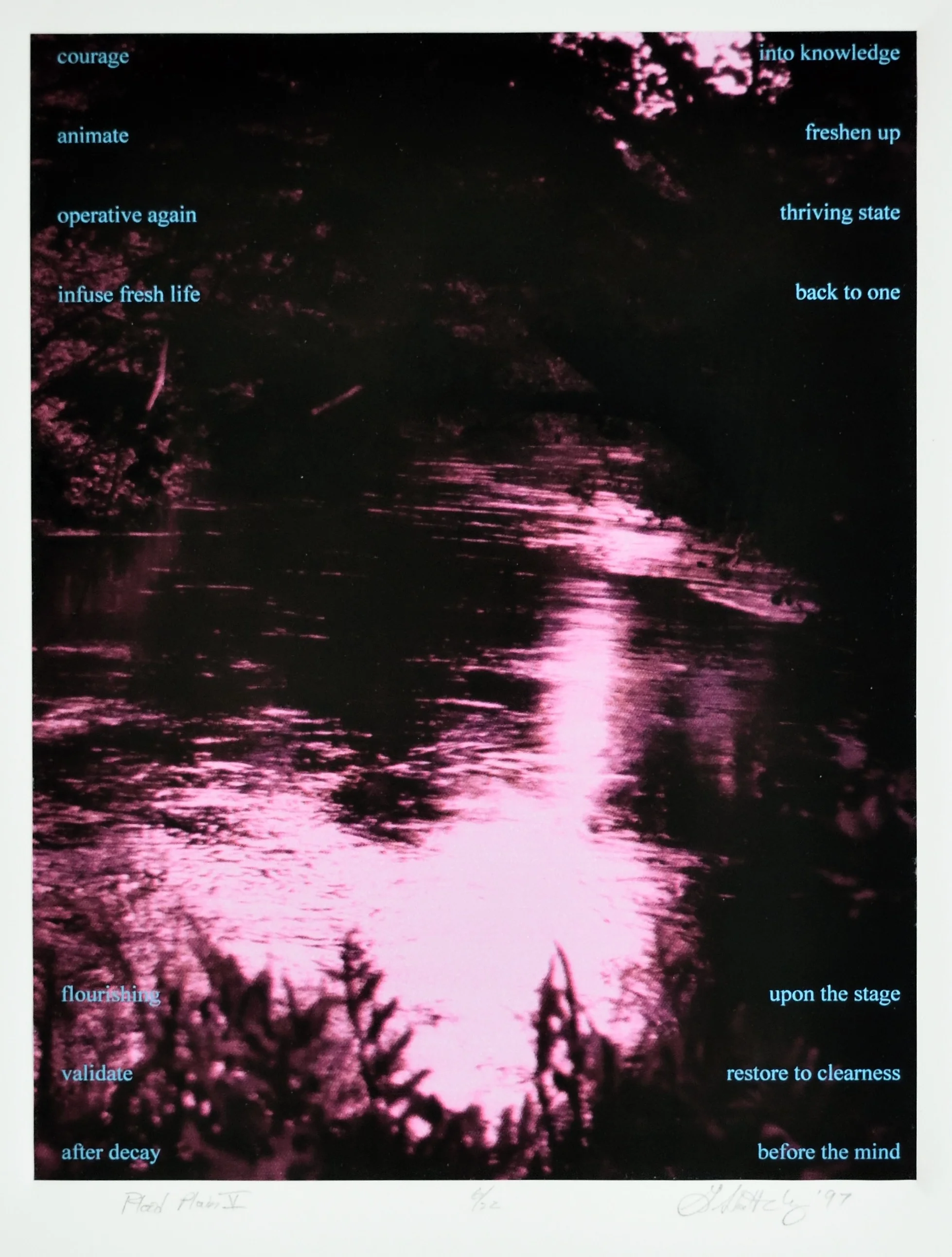 Living in the Flood Plain