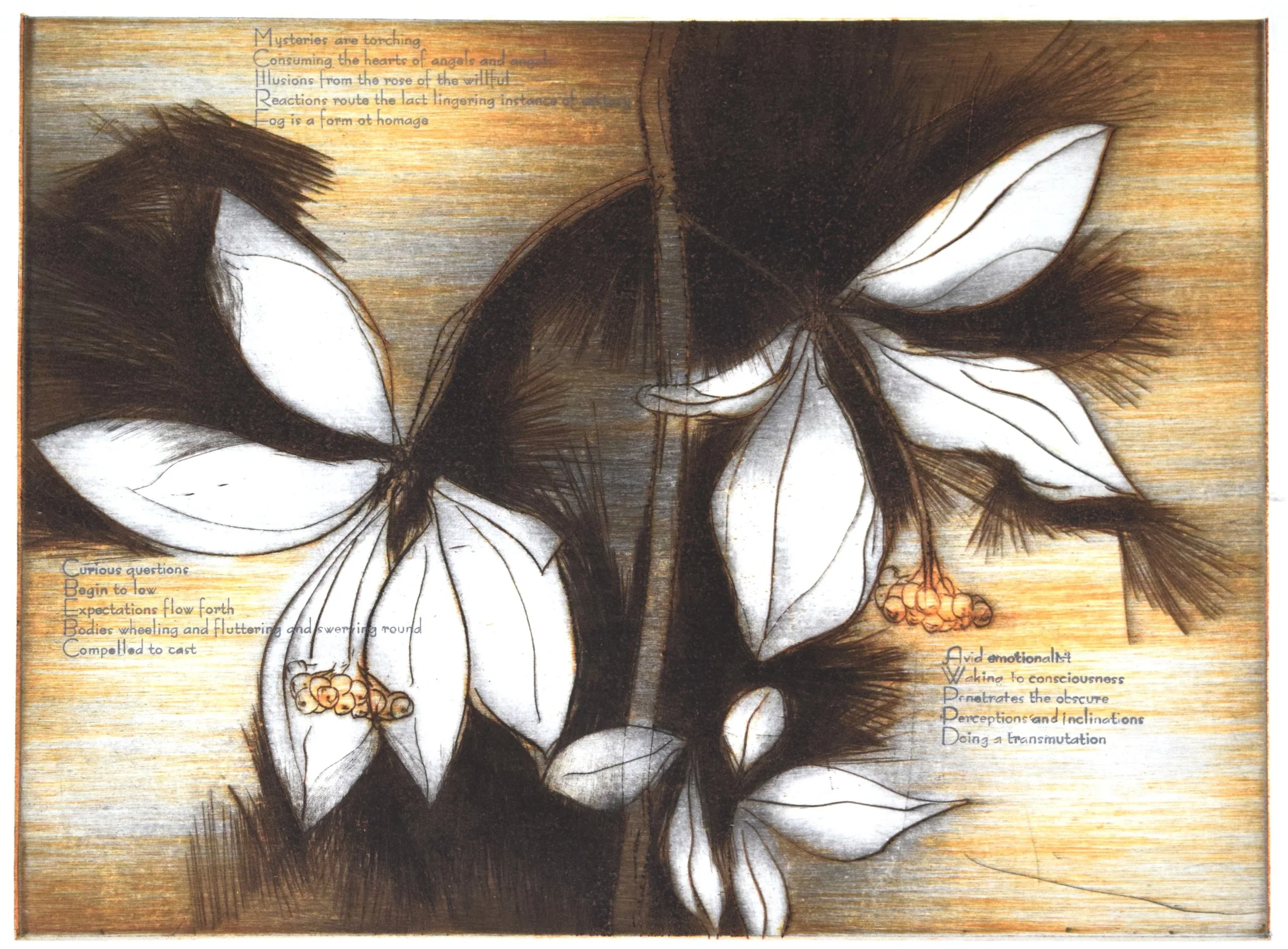 i Differentiaton.JPG