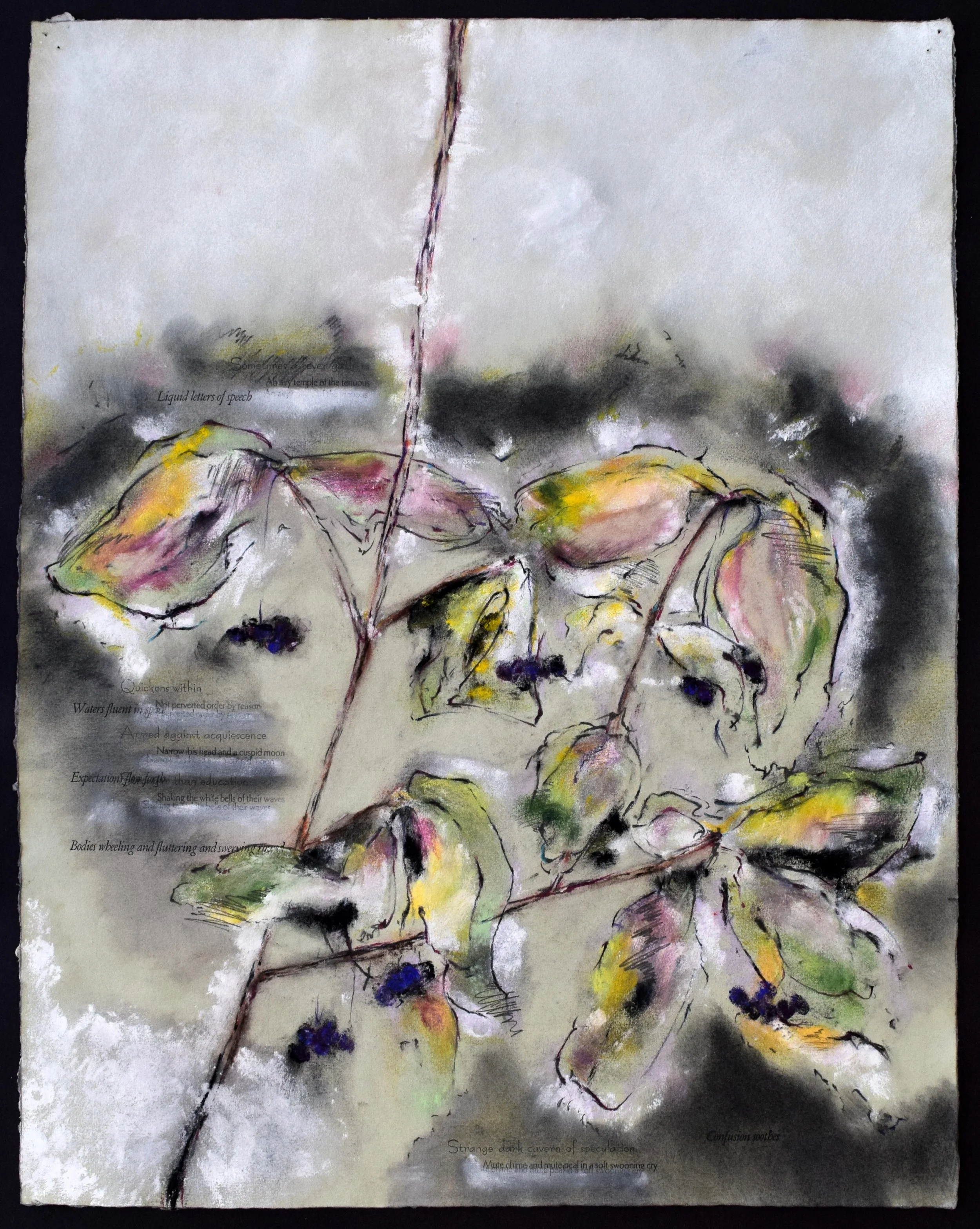 co Liquid Letters.JPG