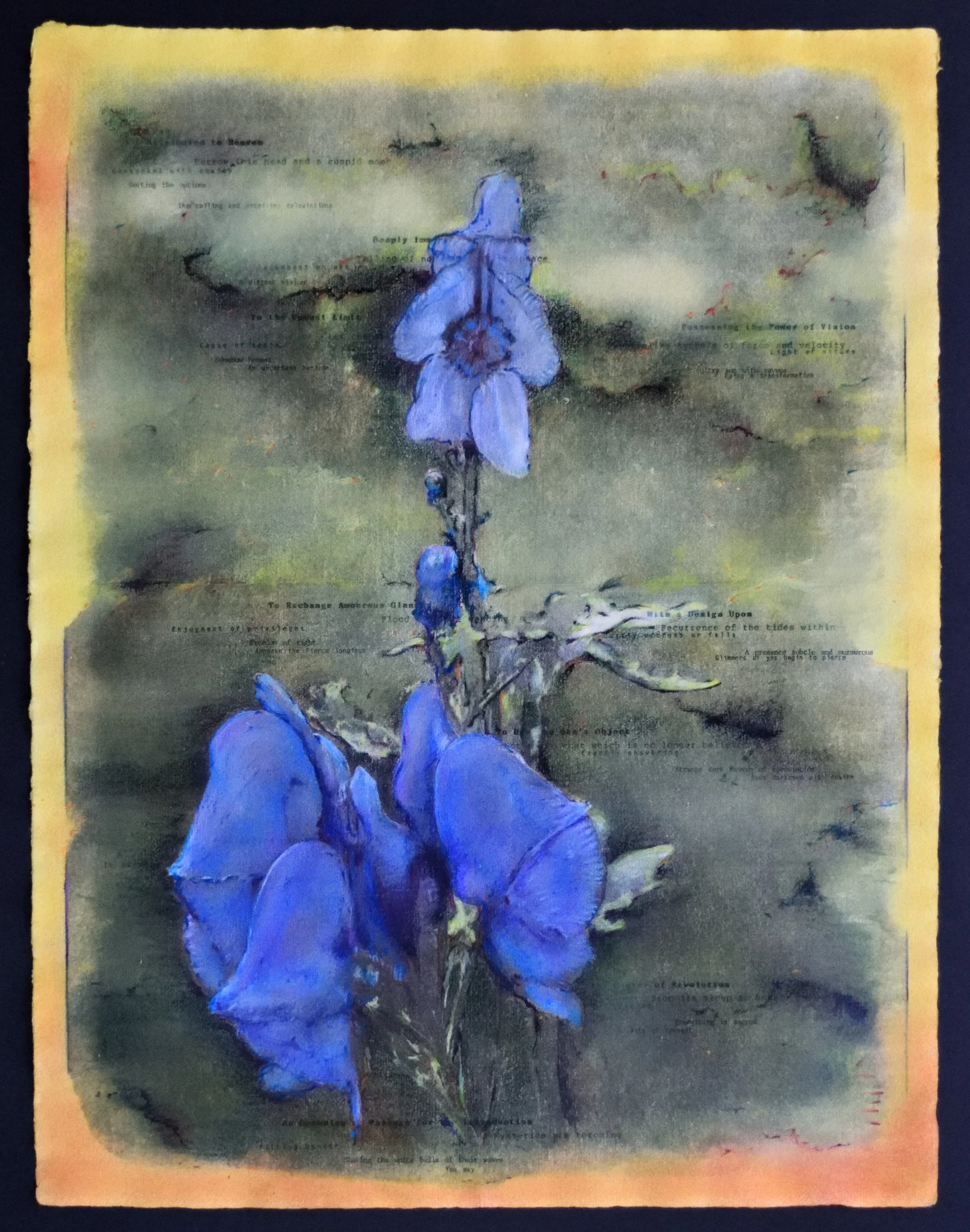 p Pacifica, an introduction (14).JPG