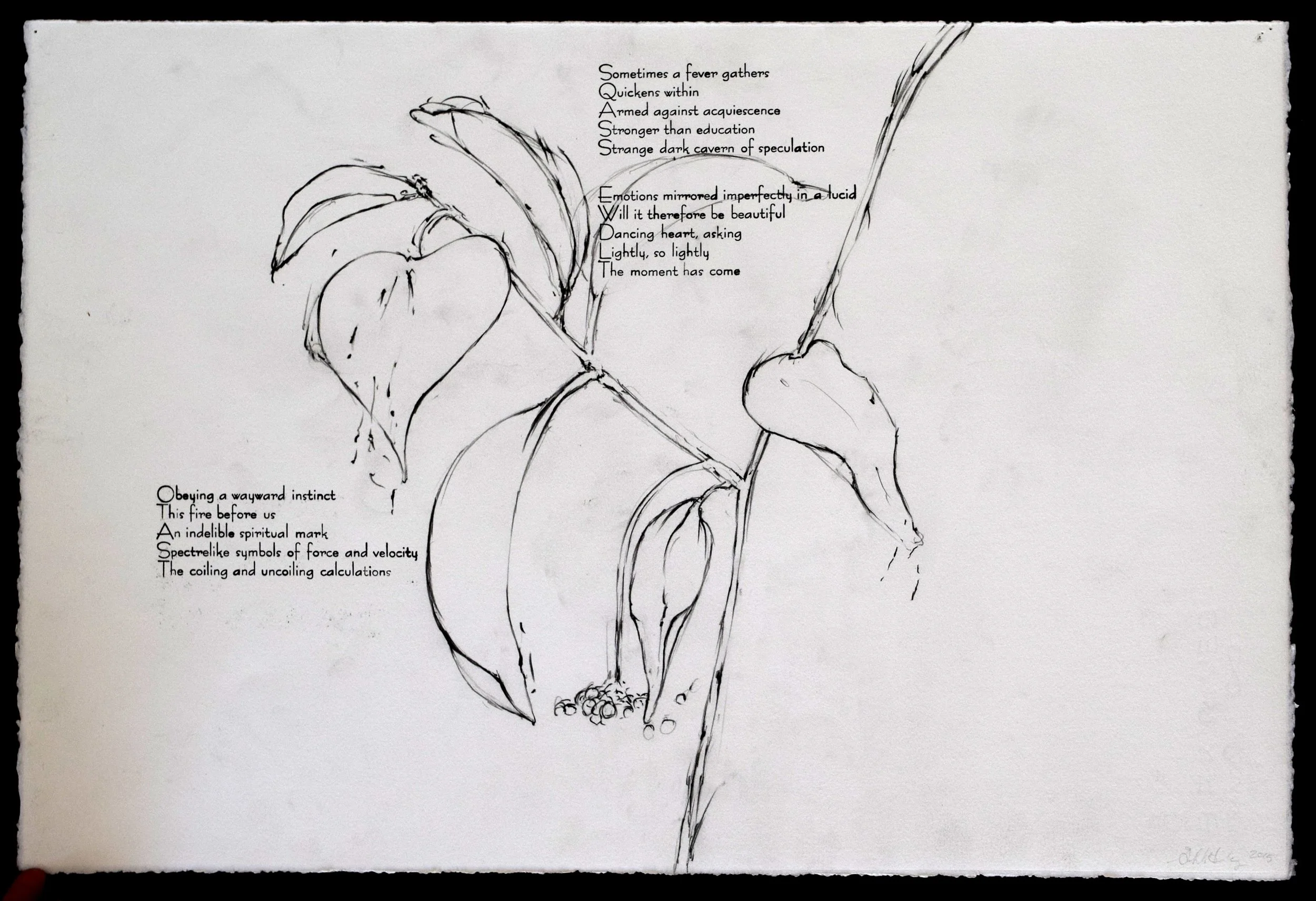 n Wayward Instinct.JPG