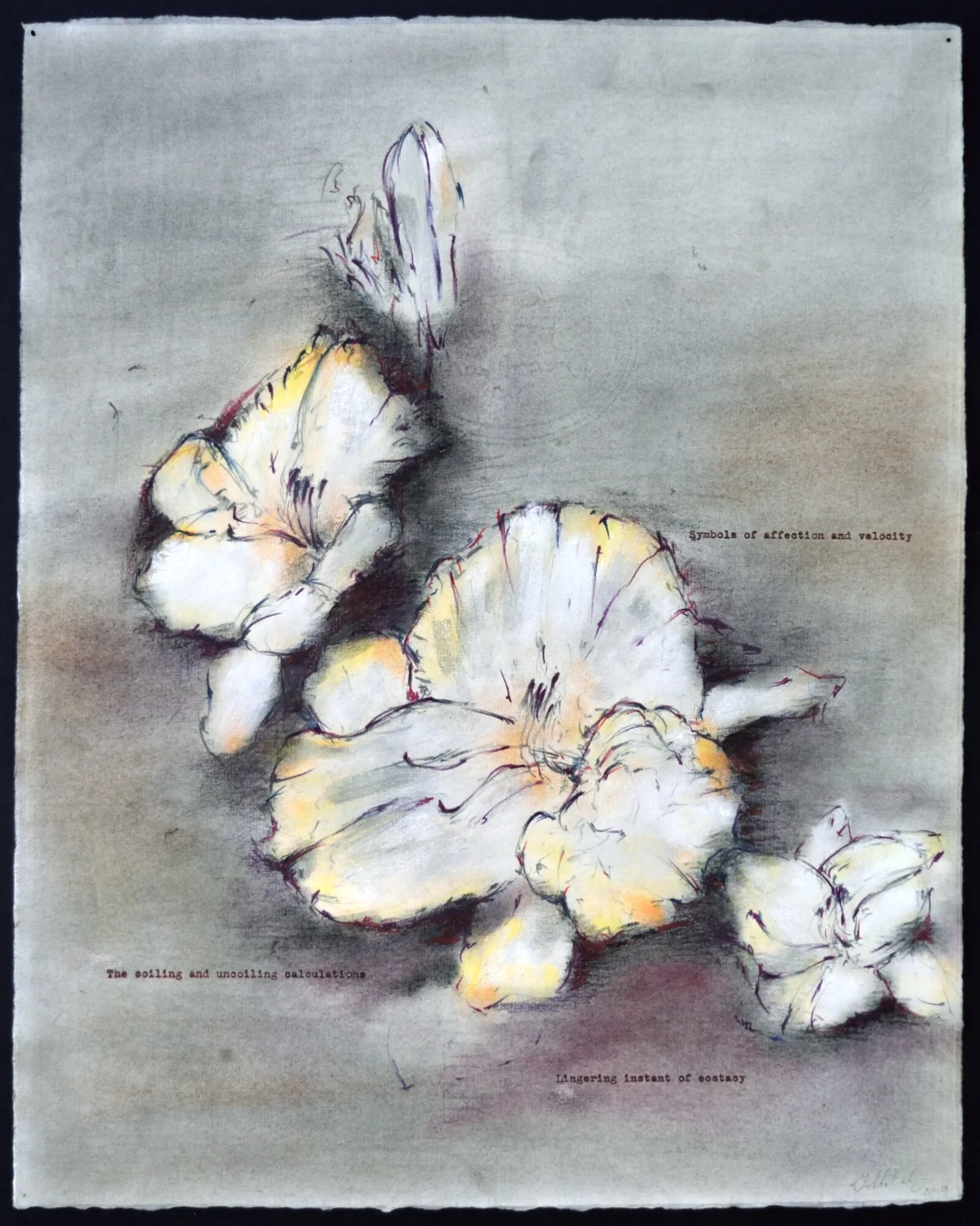    Lingering                                                                                                                              TH Saunders, 14 x 17 