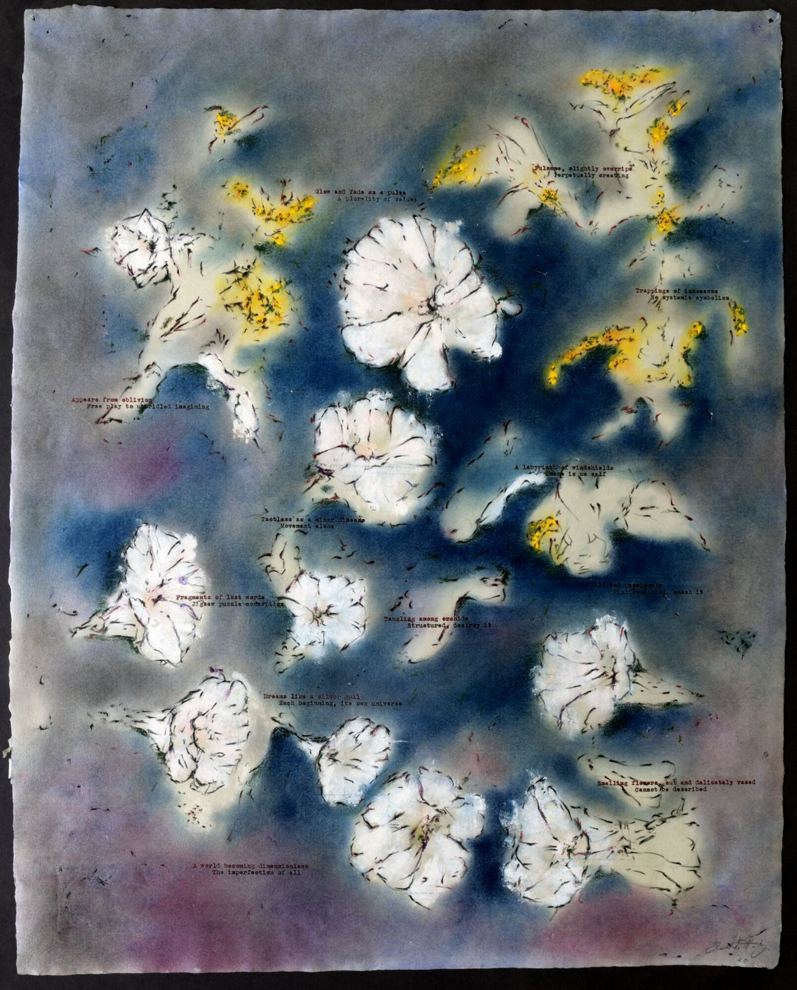    Moonflower and Goldenrod                                                                                        Charter Oak, 20 x 26 