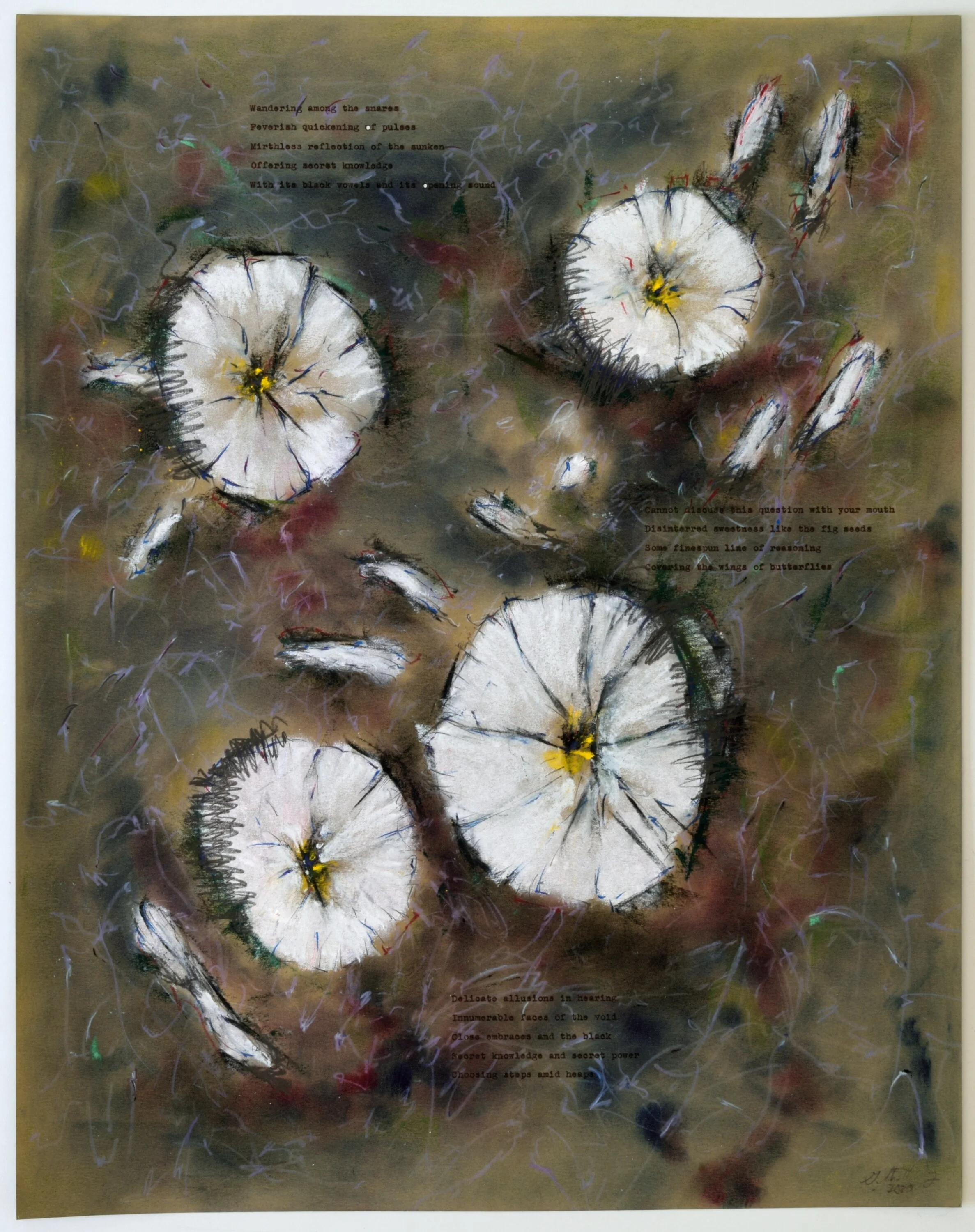    Delicate Allusions                                                                                                            British pale olive, 16 x 21 