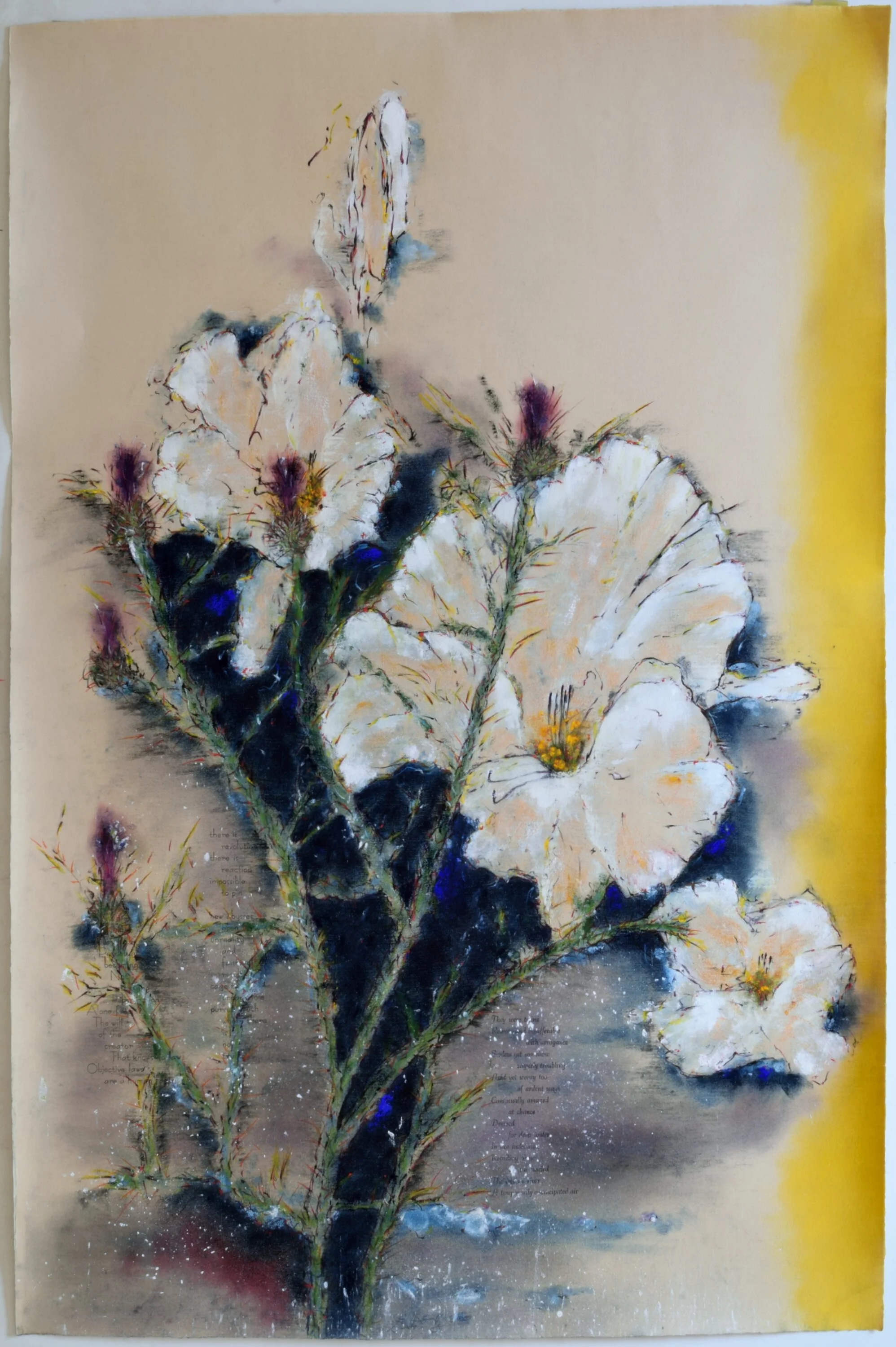    Deep Water                                                                                                                       Niddeggen, 25 x 38 