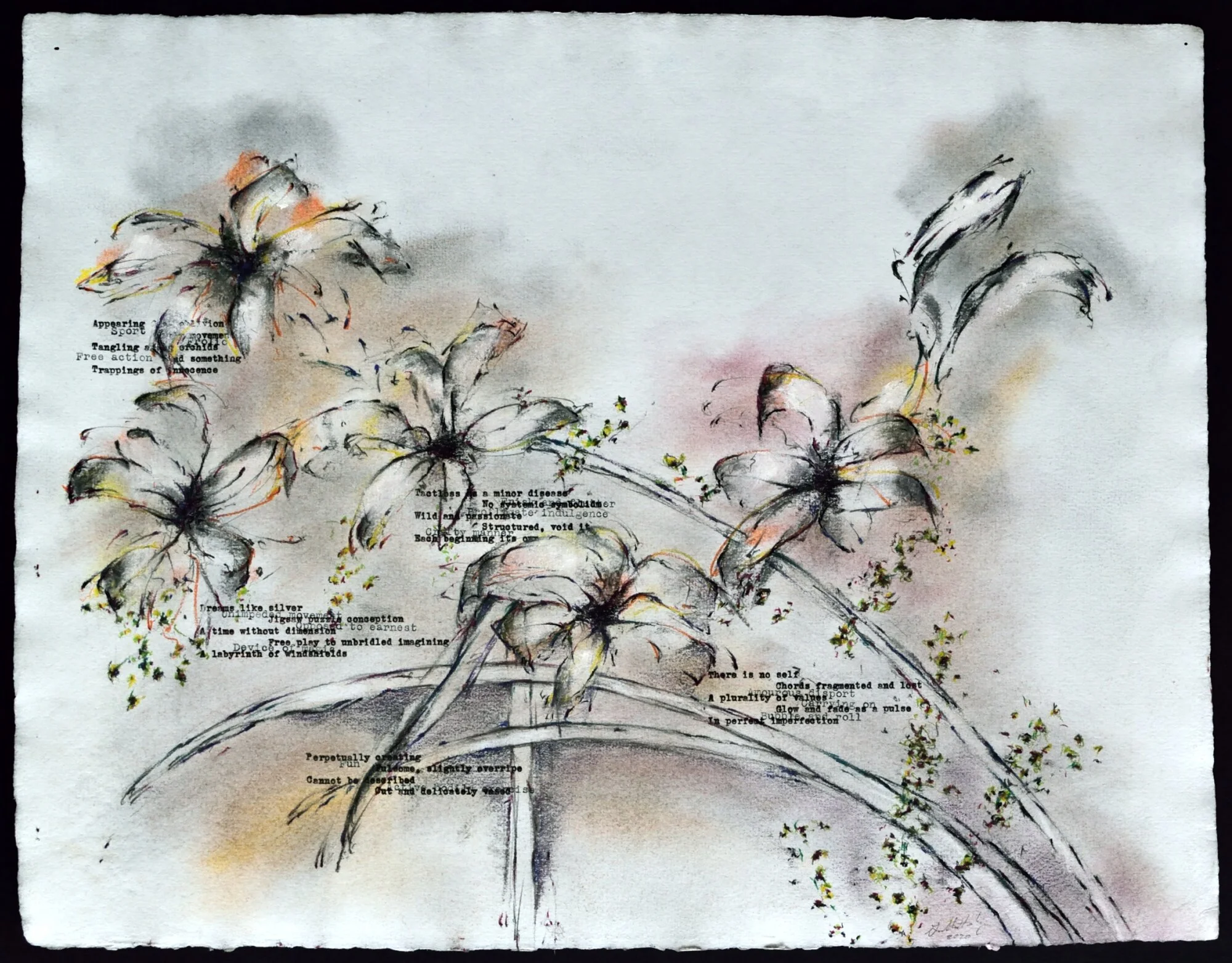    Ditch Lilies IV                                                                                                                     Hodgekinson Handmade, 17 x 14 