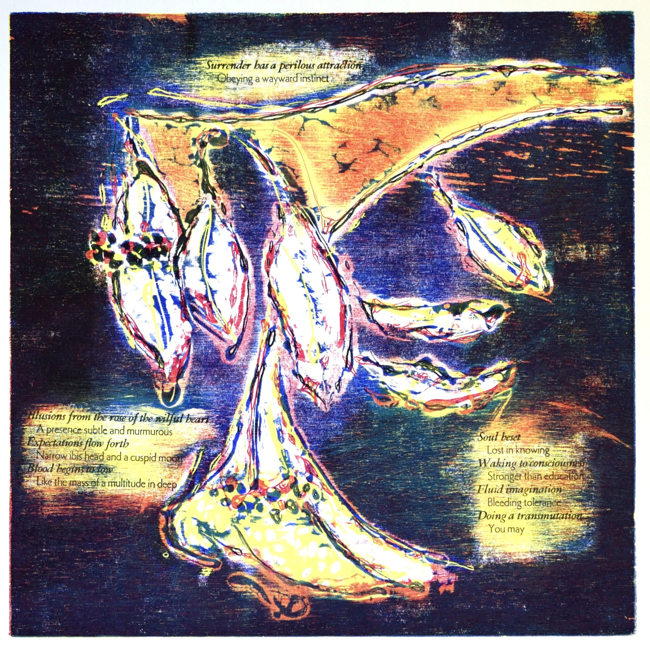    Cuspid Moon    Edition- 33, press runs- four,  12 x 12 image, 15 x 16 sheet  2018 