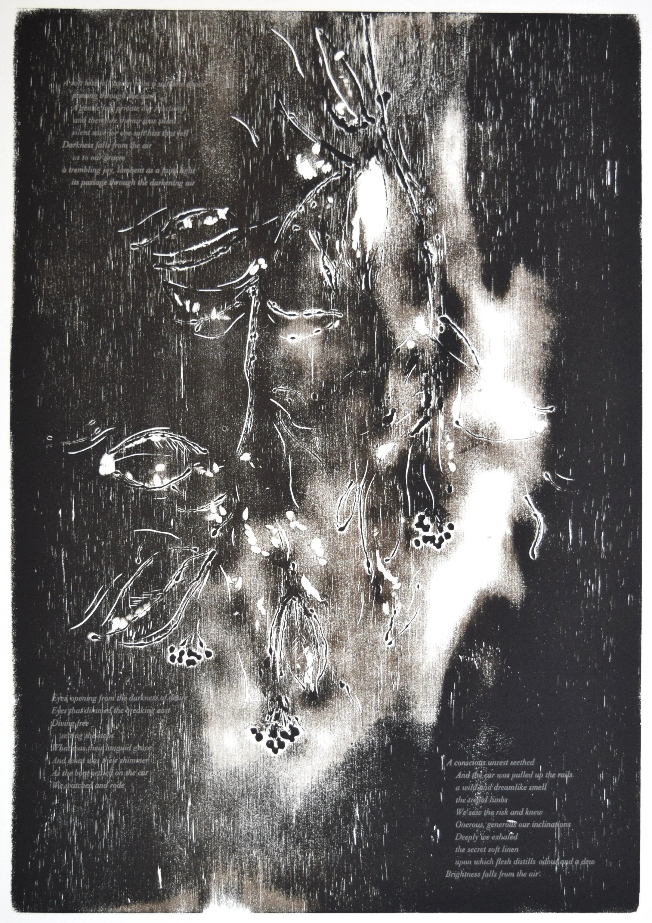    Free Dive    Edition- 19, press runs- two,  16.5 x 24 image, 22 x 30 sheet  2016 