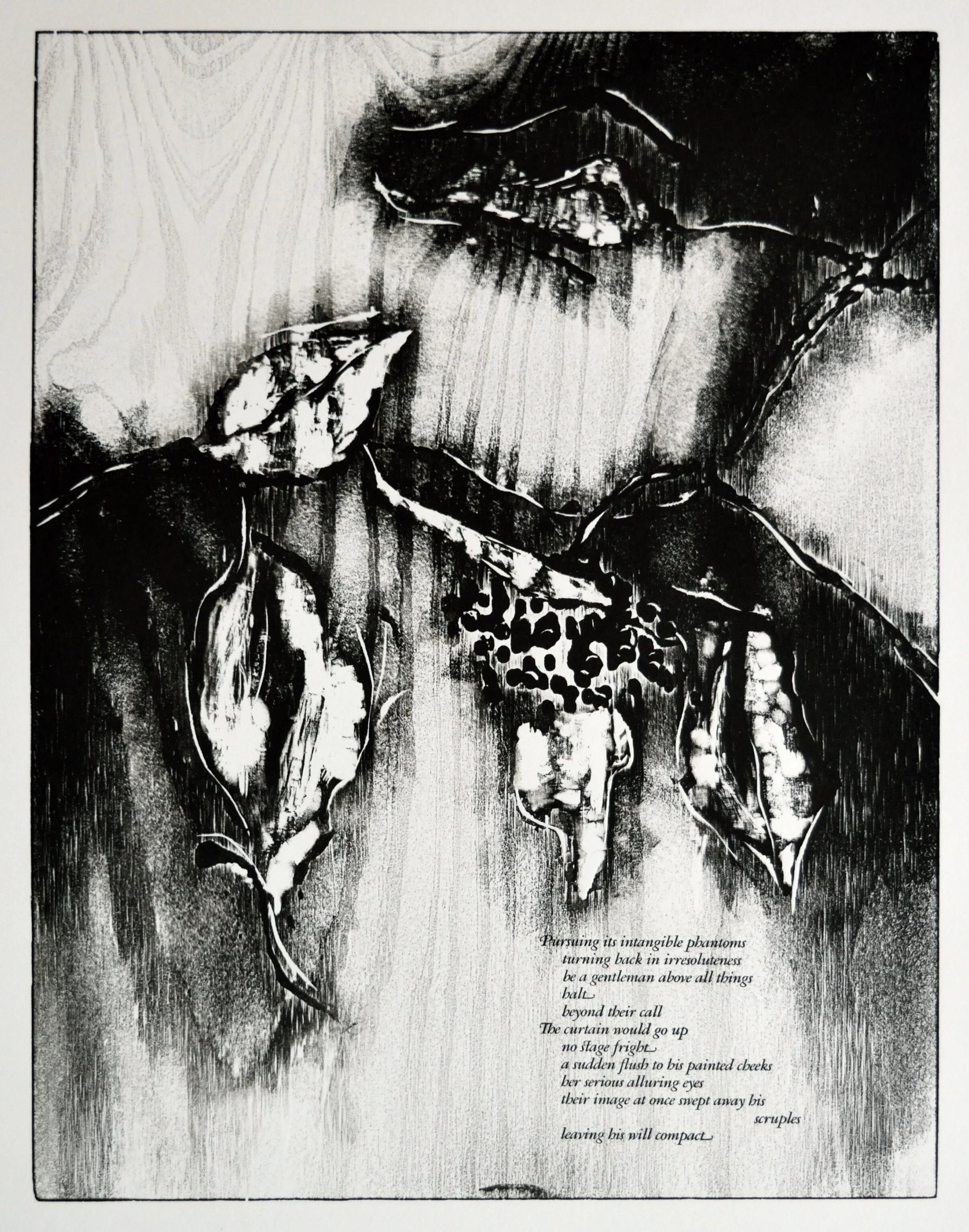    Scruples     Edition- 32, press runs- two,  12.5 x 16.5 image, 18 x 22 sheet  2014 