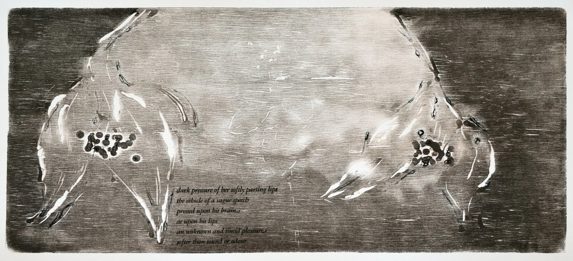    Implications    Edition- 27,  press runs- three,  18 x 8 image, 12 x 22 sheet  2021 