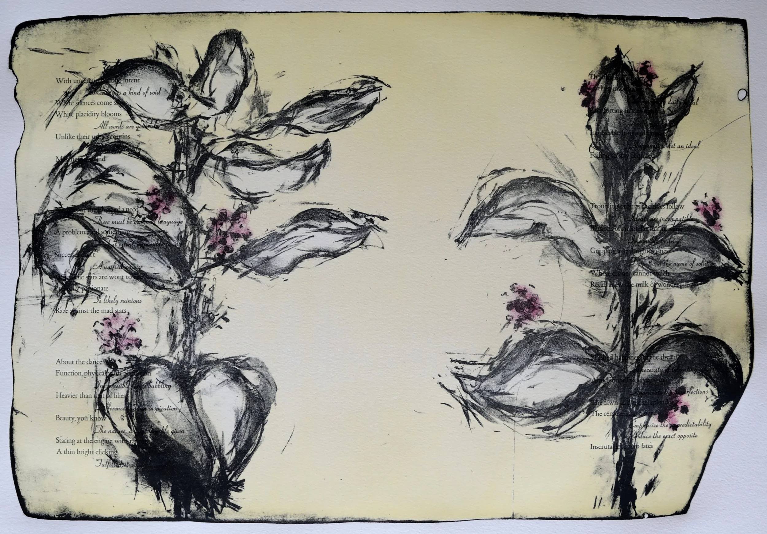    Two Fates    22 x 15 stone                                                                                                                                            27 x 20 sheet                                                                    