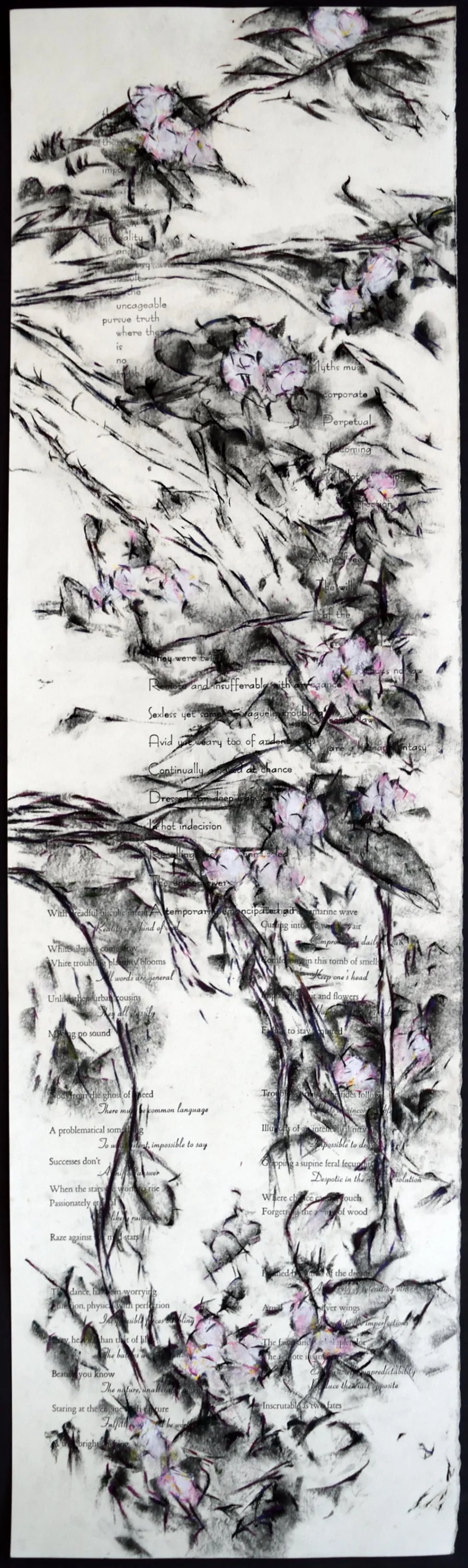   three                                                                                                                                        37 x 11 