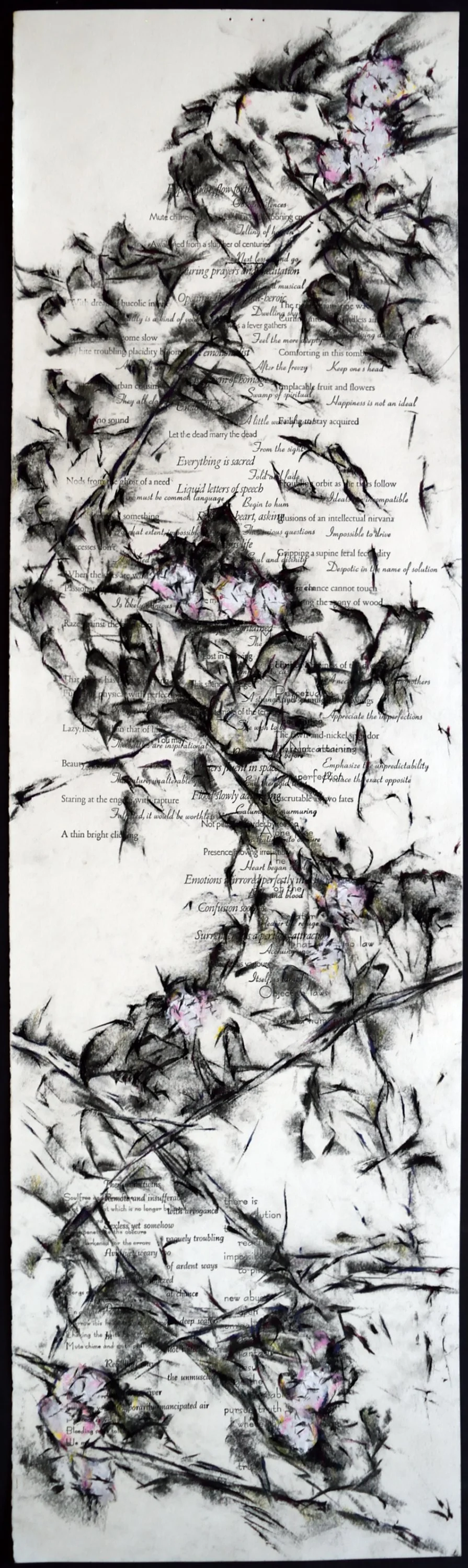   four                                                                                                                                                                                                    37 x 11 