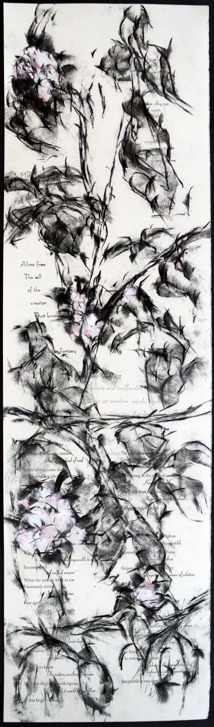   five                                                                                                                                              37 x 11 