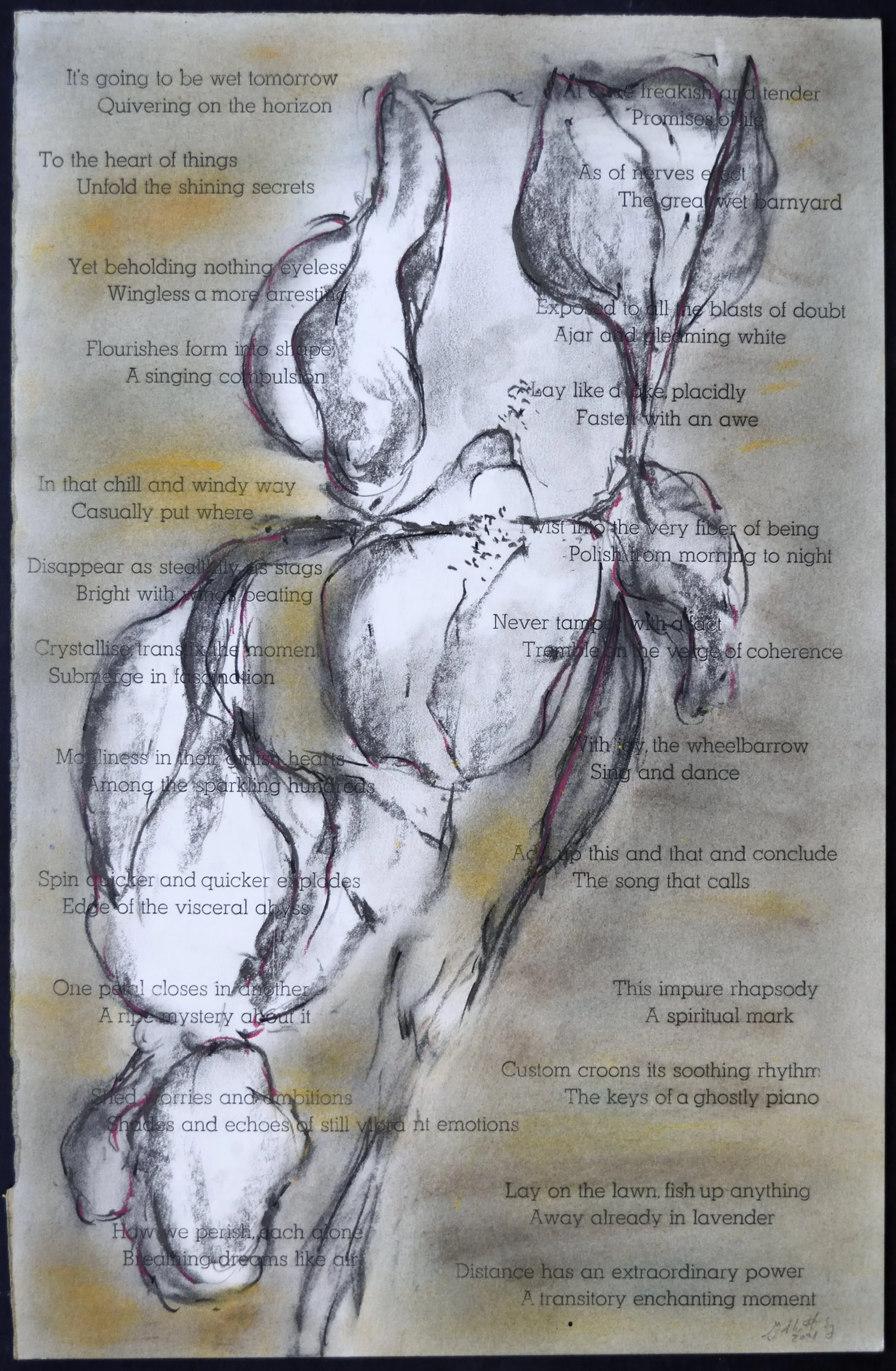   n - The Very Fiber 1  