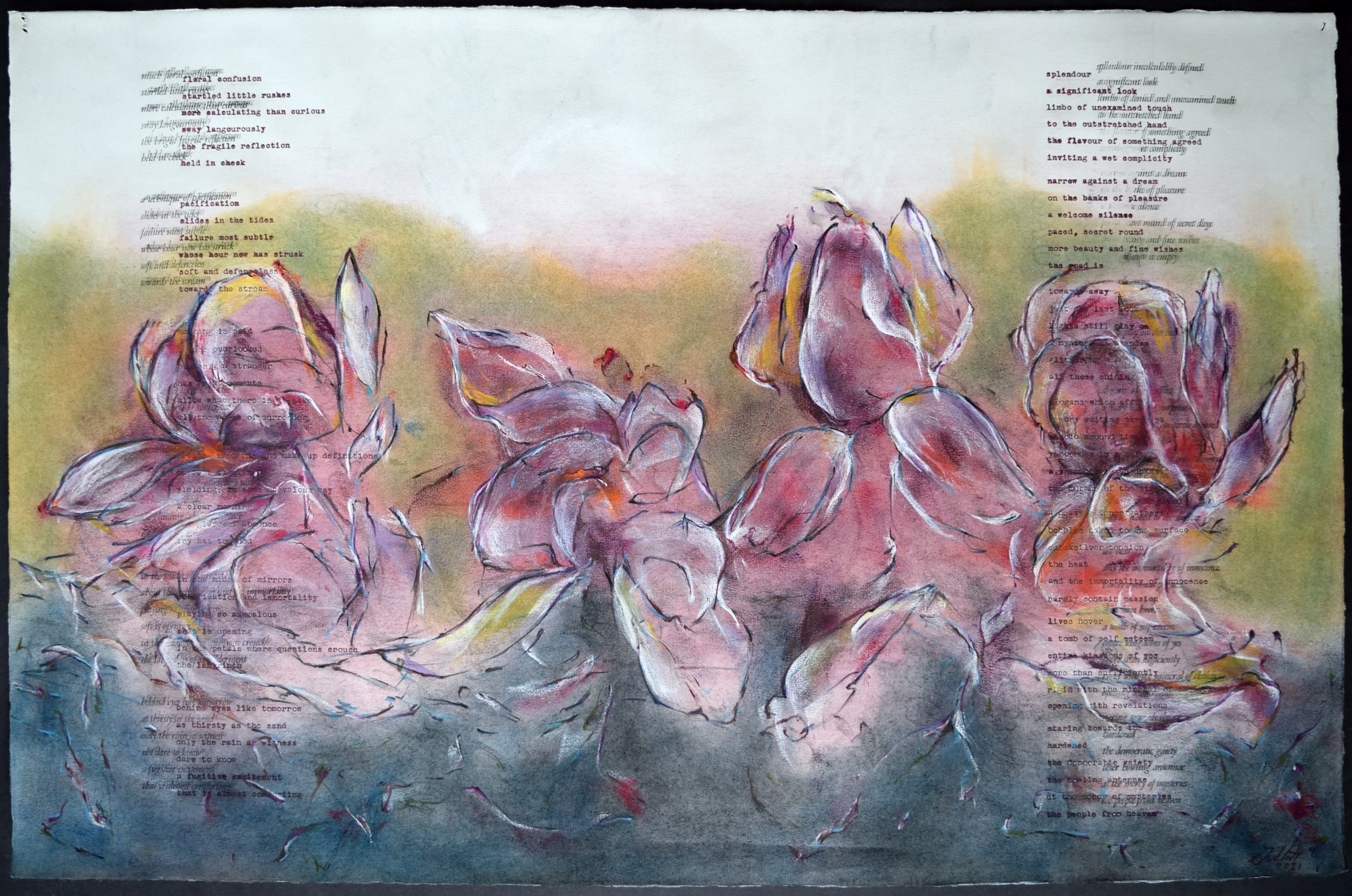    White Writing                                                                                                                          TH Saunders, 26 x 17 