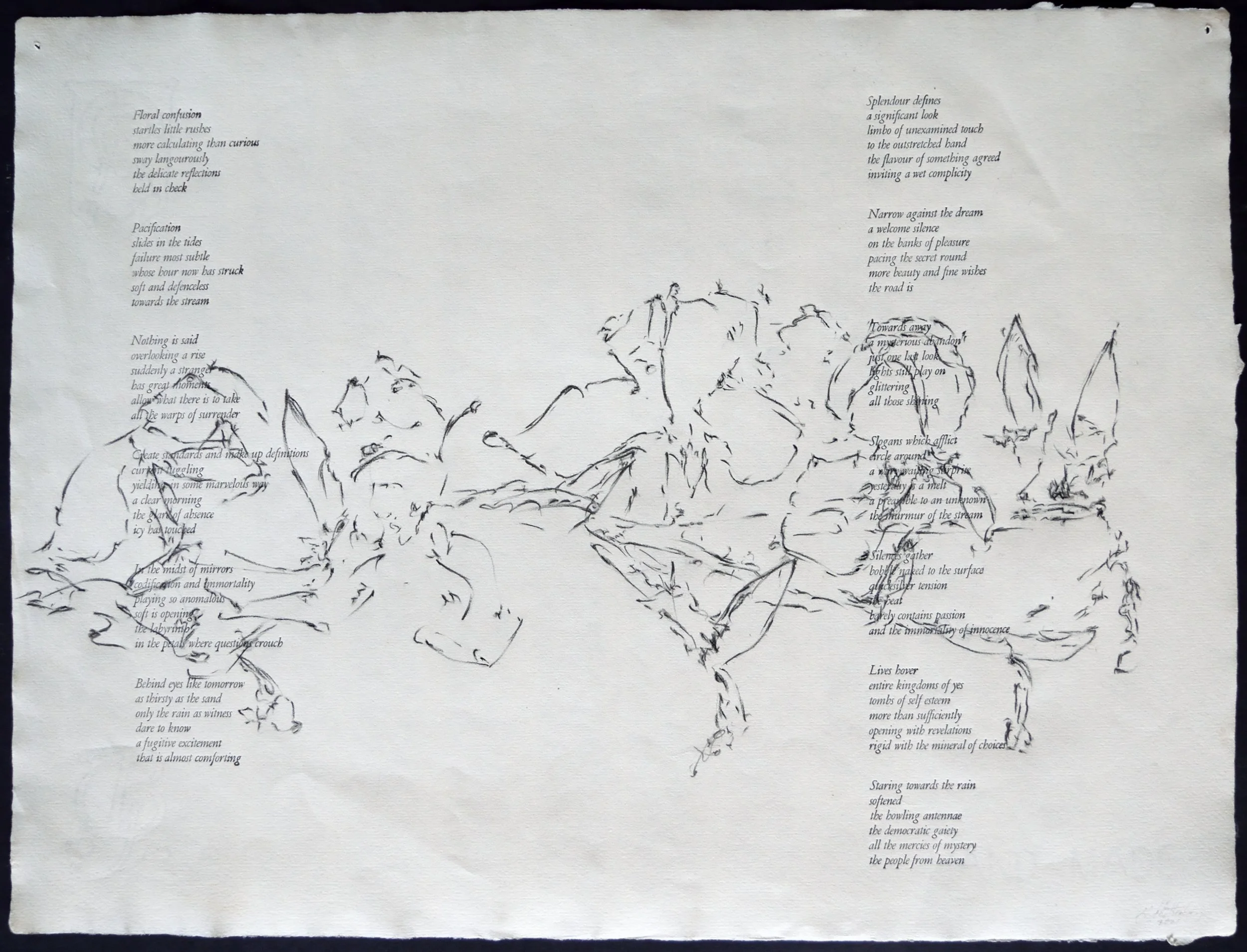    Catcher                                                                                                                            Tovil, 21 x 16 