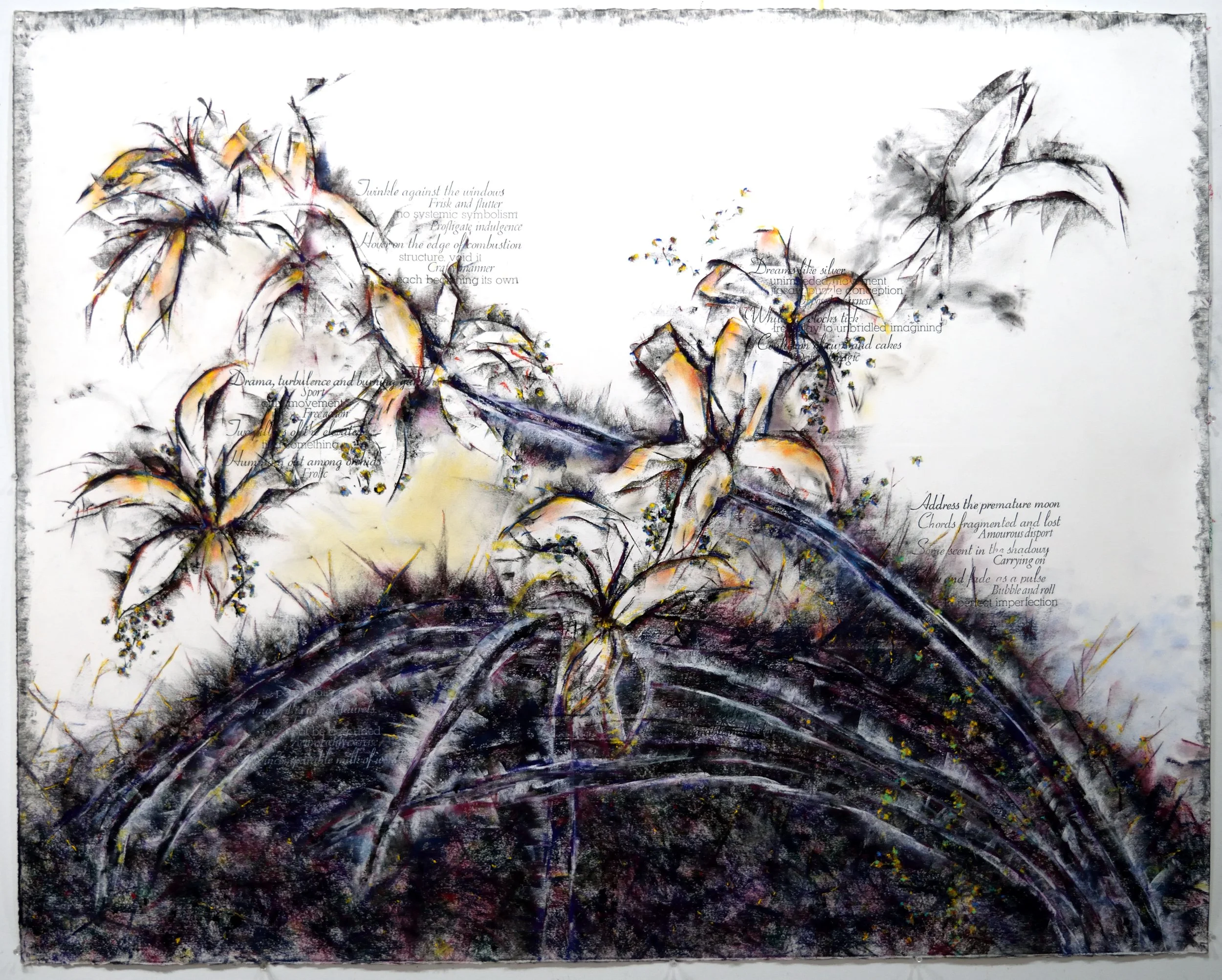    Concerto for Double Bass                                                                                          Charcoal, pigment and letterpress on Rives BFK, 53 x 42 