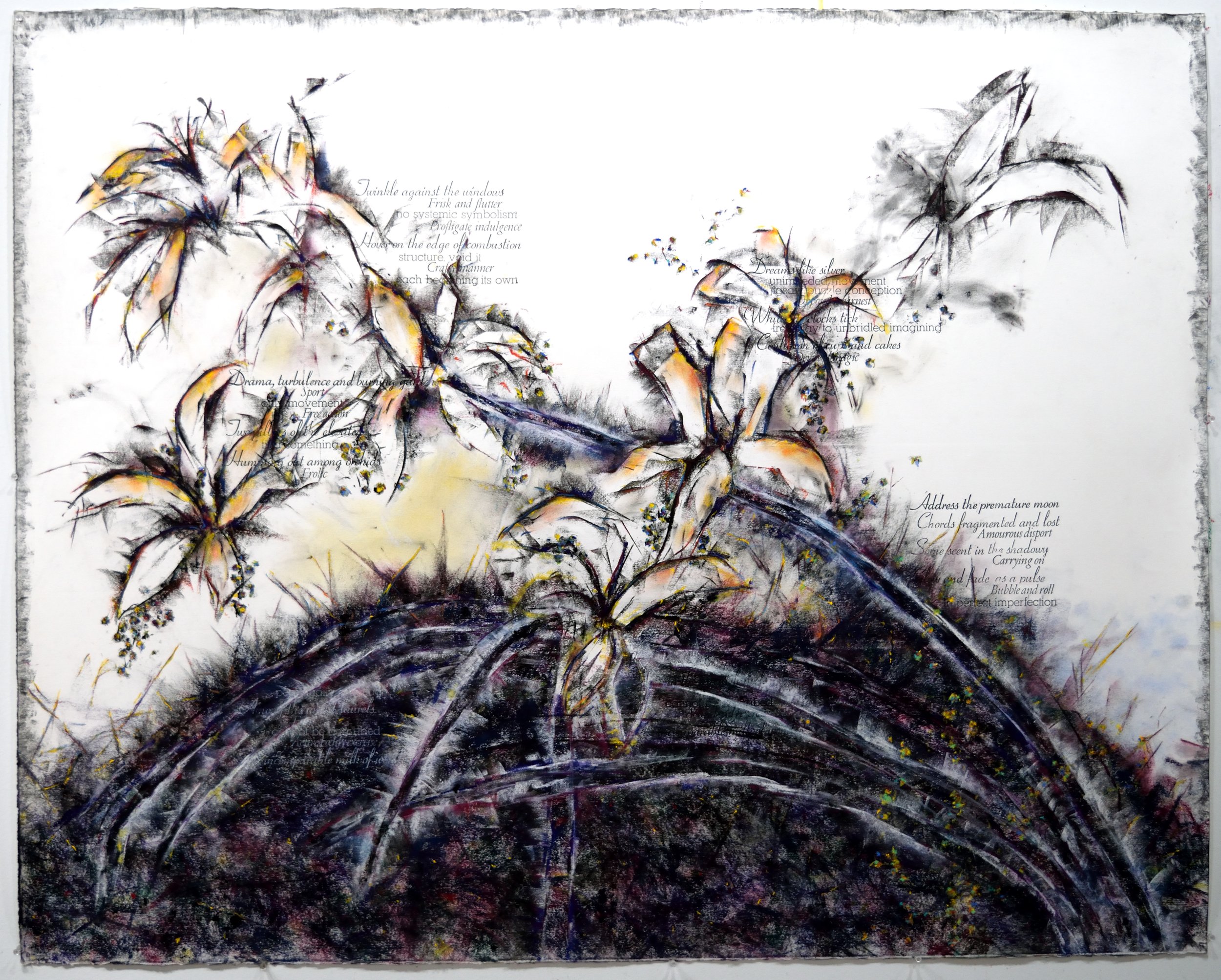    Concerto for Double Bass    Charcoal, pigment and letterpress on Rives BFK, 53 x 42 - 2022 