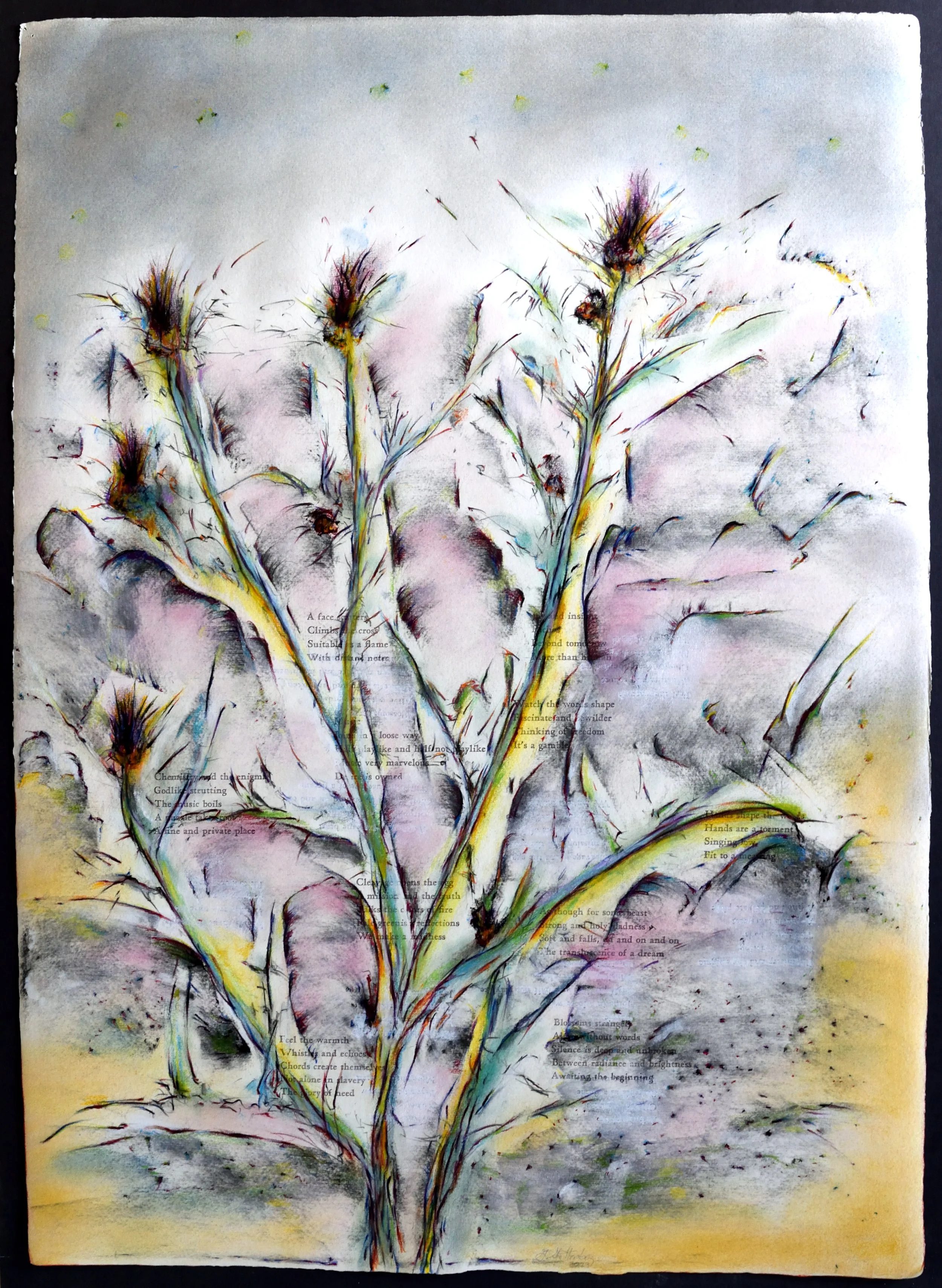    The Heart is a Lonely Hunter          Crisbrook, 23 x 31   