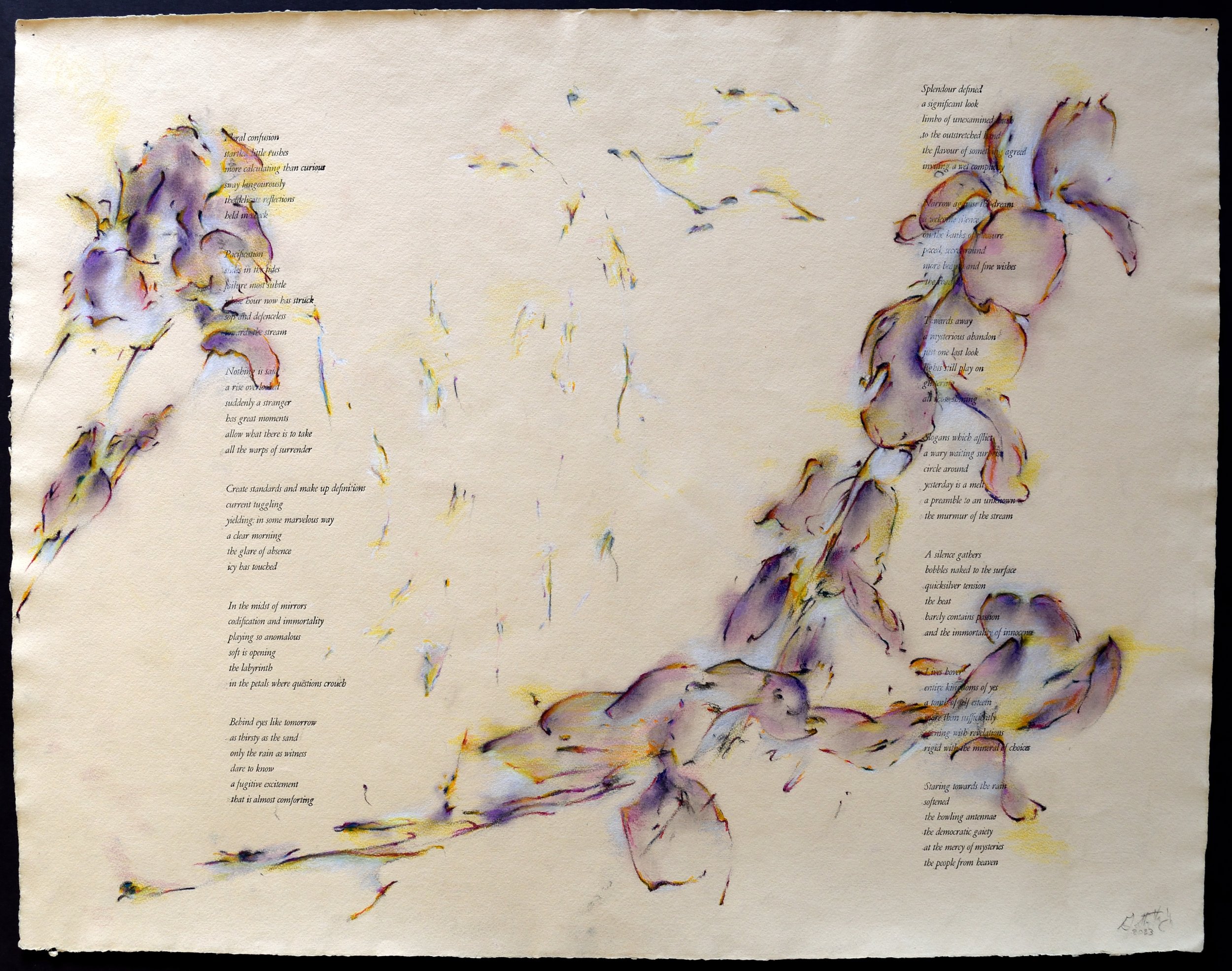    Hello                                                                                                                              2023 