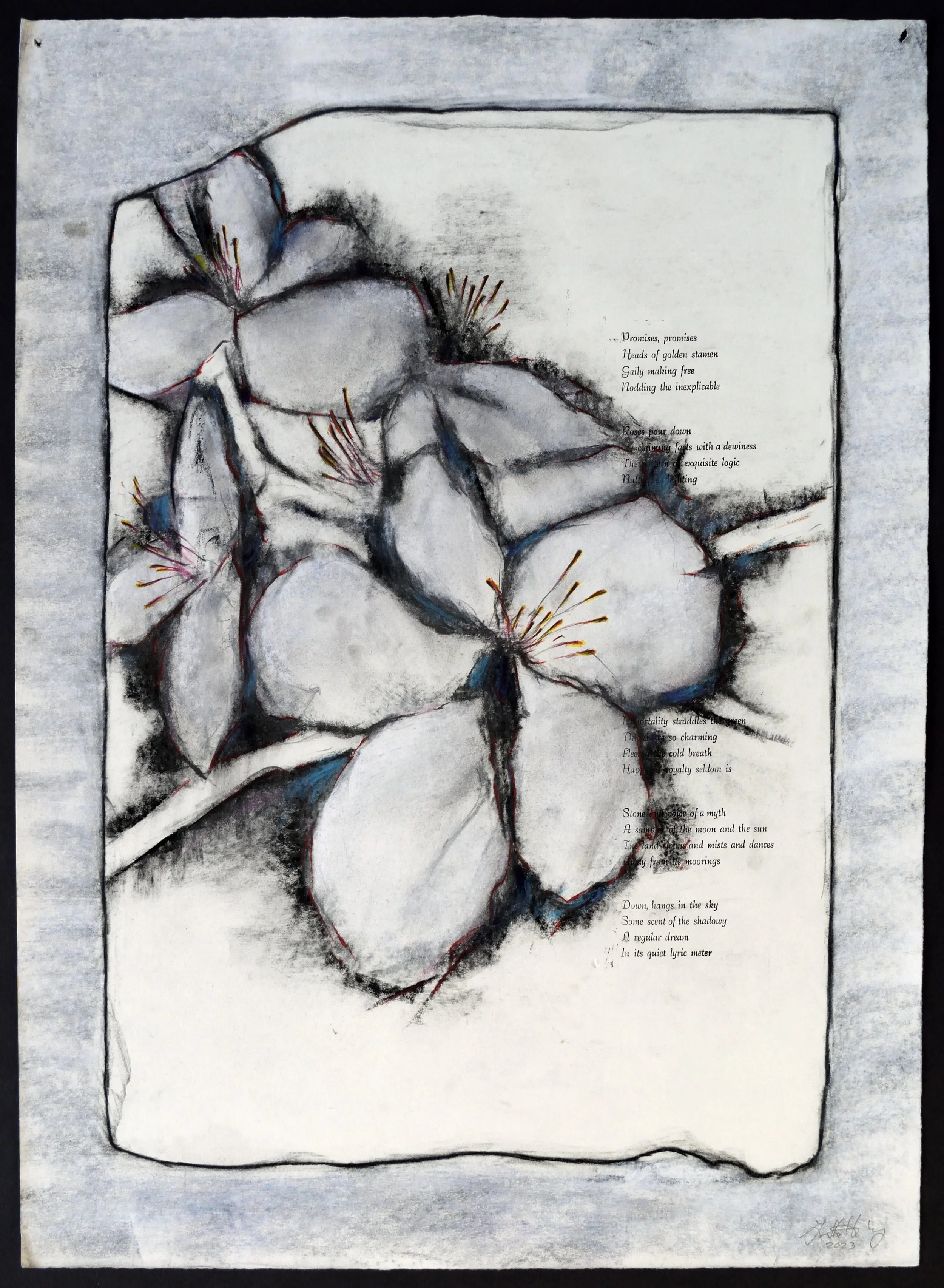    Stone Study VIII (One Fine Day)    Drawing with letterpress on Rives Heavyweight,  19 x 26 