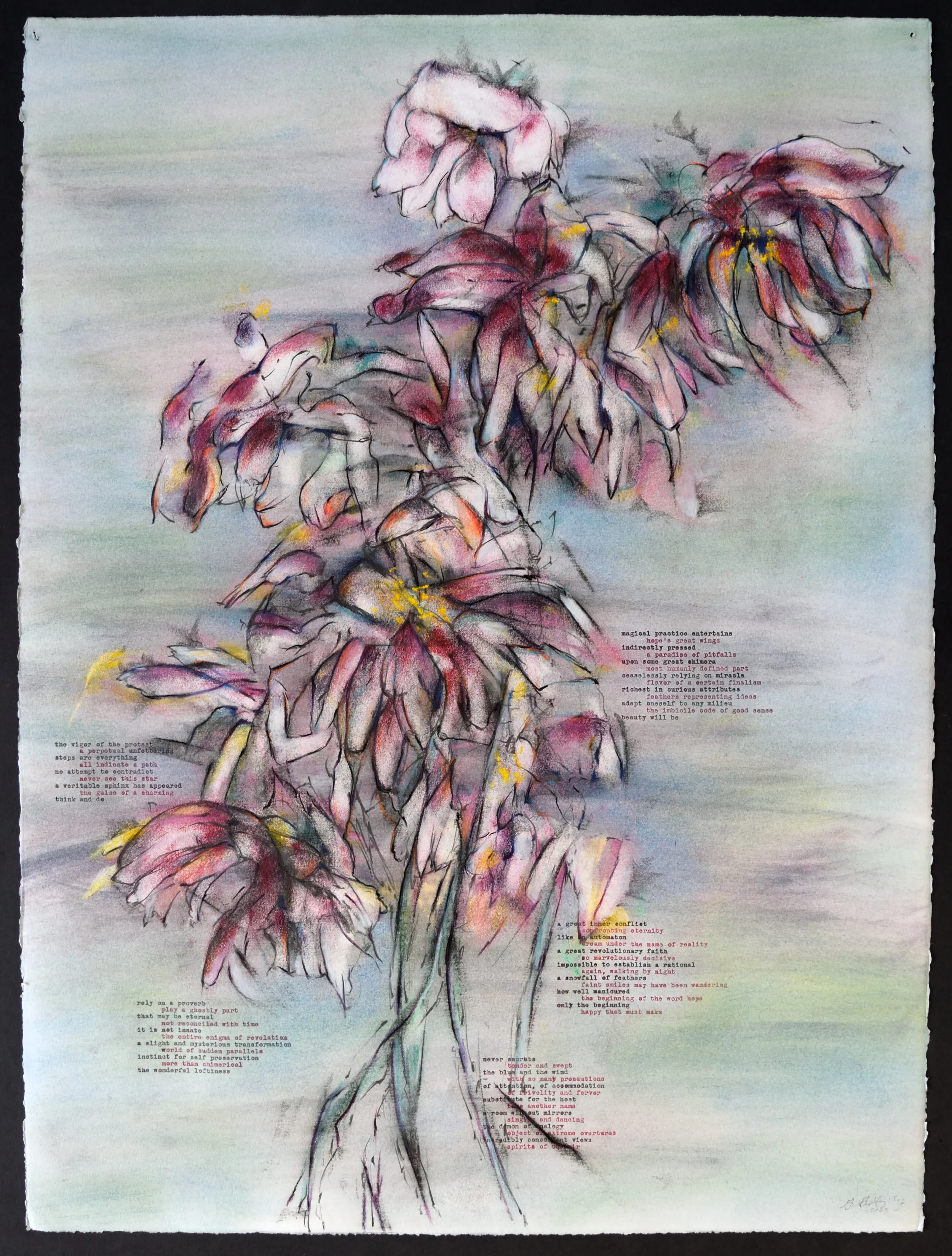    Magical Practice    Rives BFK, 22 x 30 