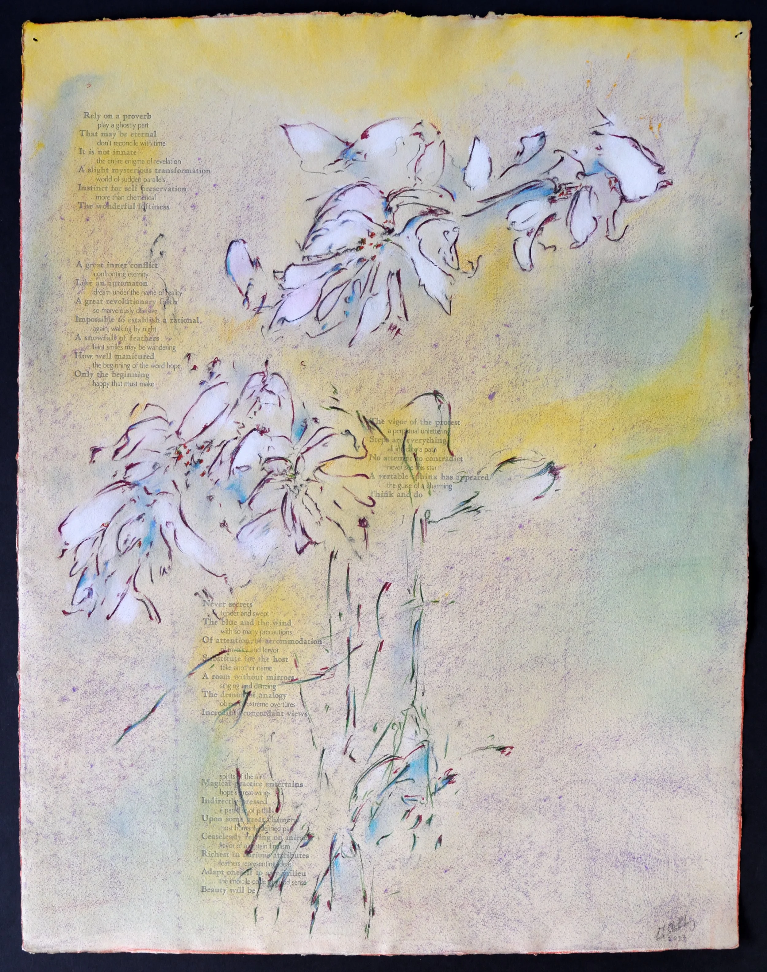    Nadja Translated    Umbria, 20 x 26 