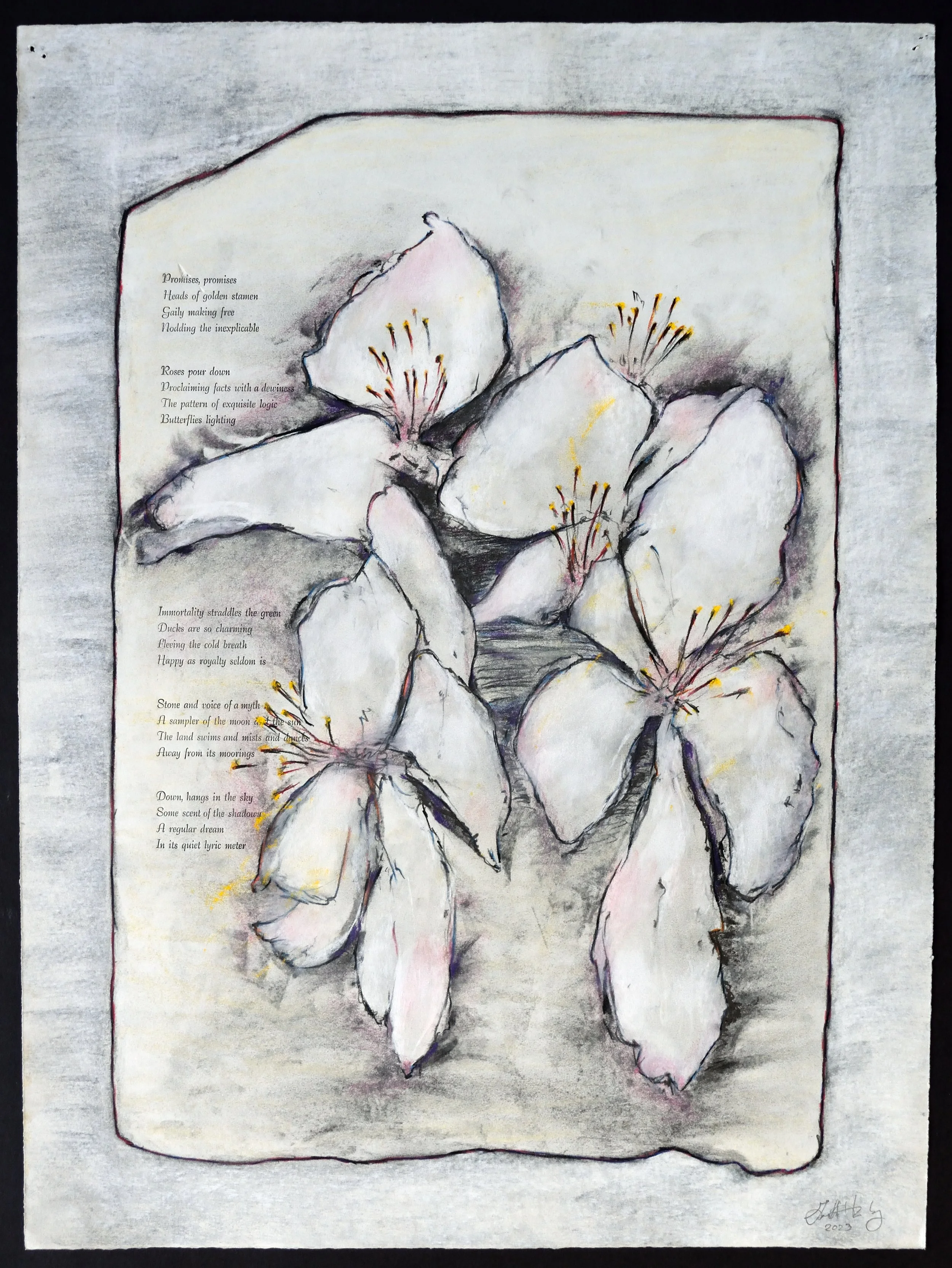    Stone Study VII   (One Fine Day)   Drawing with letterpress on Rives Heavyweight,  19 x 26 