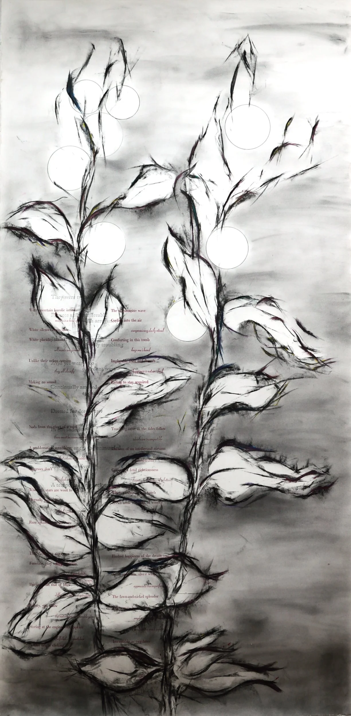   Two Fates                                                                                                    drawing 42 × 86 