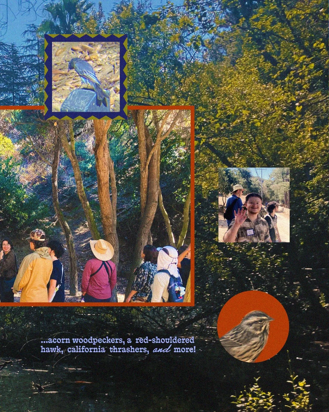 QMBC_2026_08_MeetupCollage_fr03_jb_v4.jpg