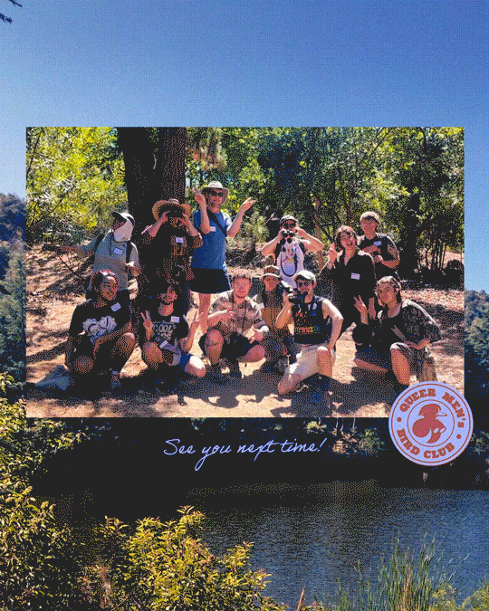 QMBC_2026_08_MeetupCollage_fr04_jb_v1.gif