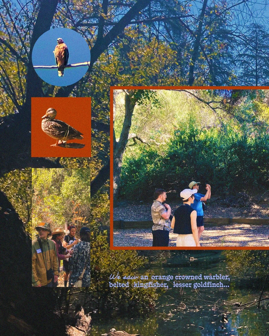 QMBC_2026_08_MeetupCollage_fr02_jb_v3.jpg