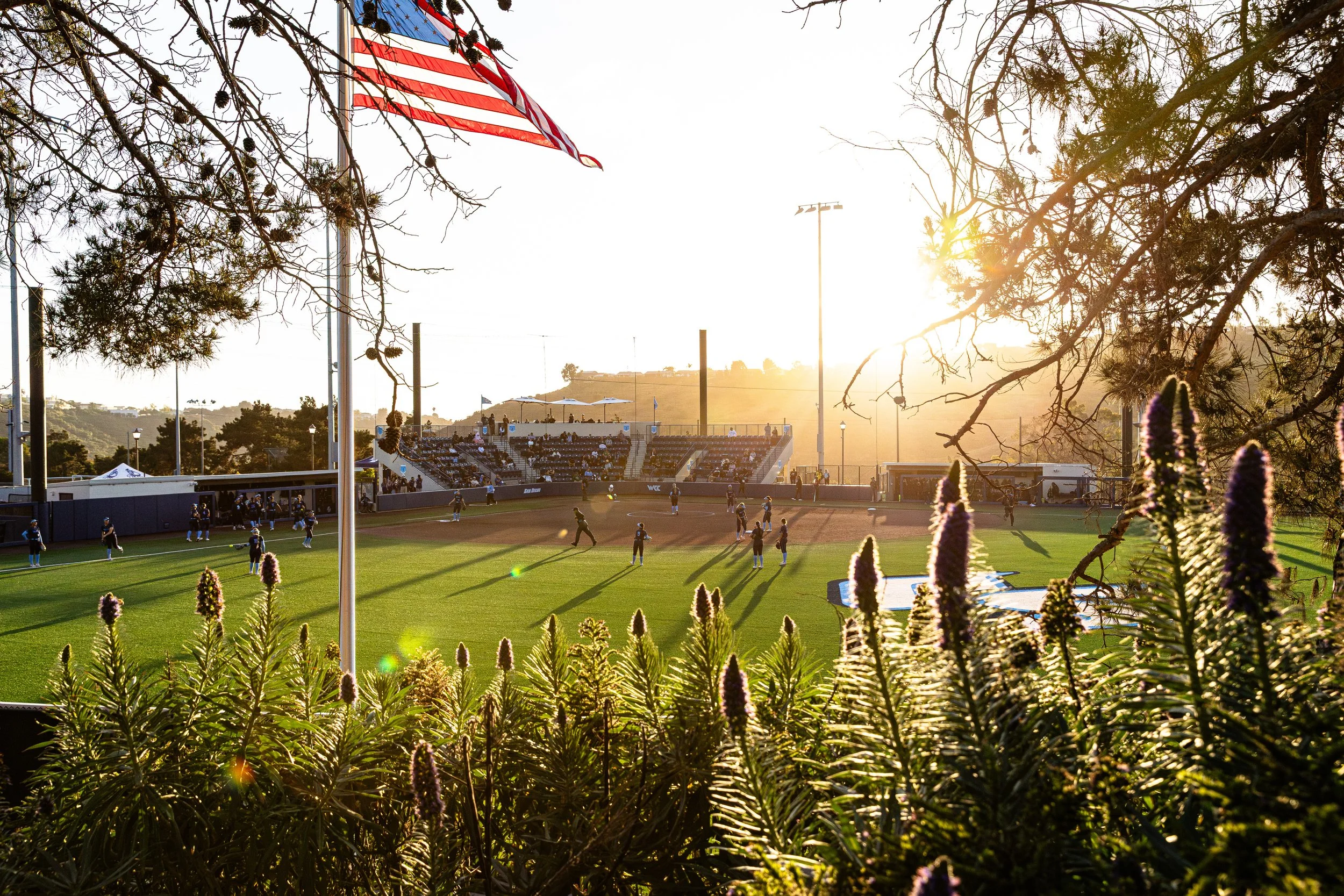 4-16-26 SB V Hawaii (7 of 333).jpg