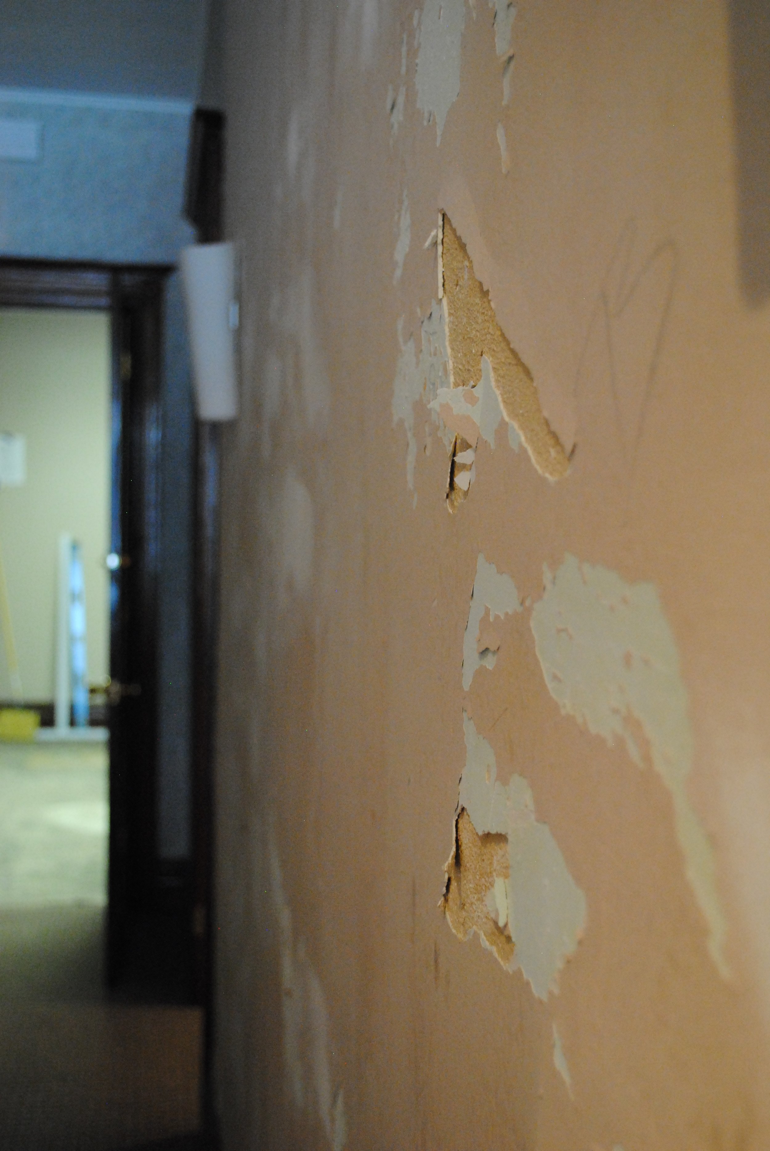 Removing Wallpaper from 100-year-old Plaster Walls — My Bailiwick
