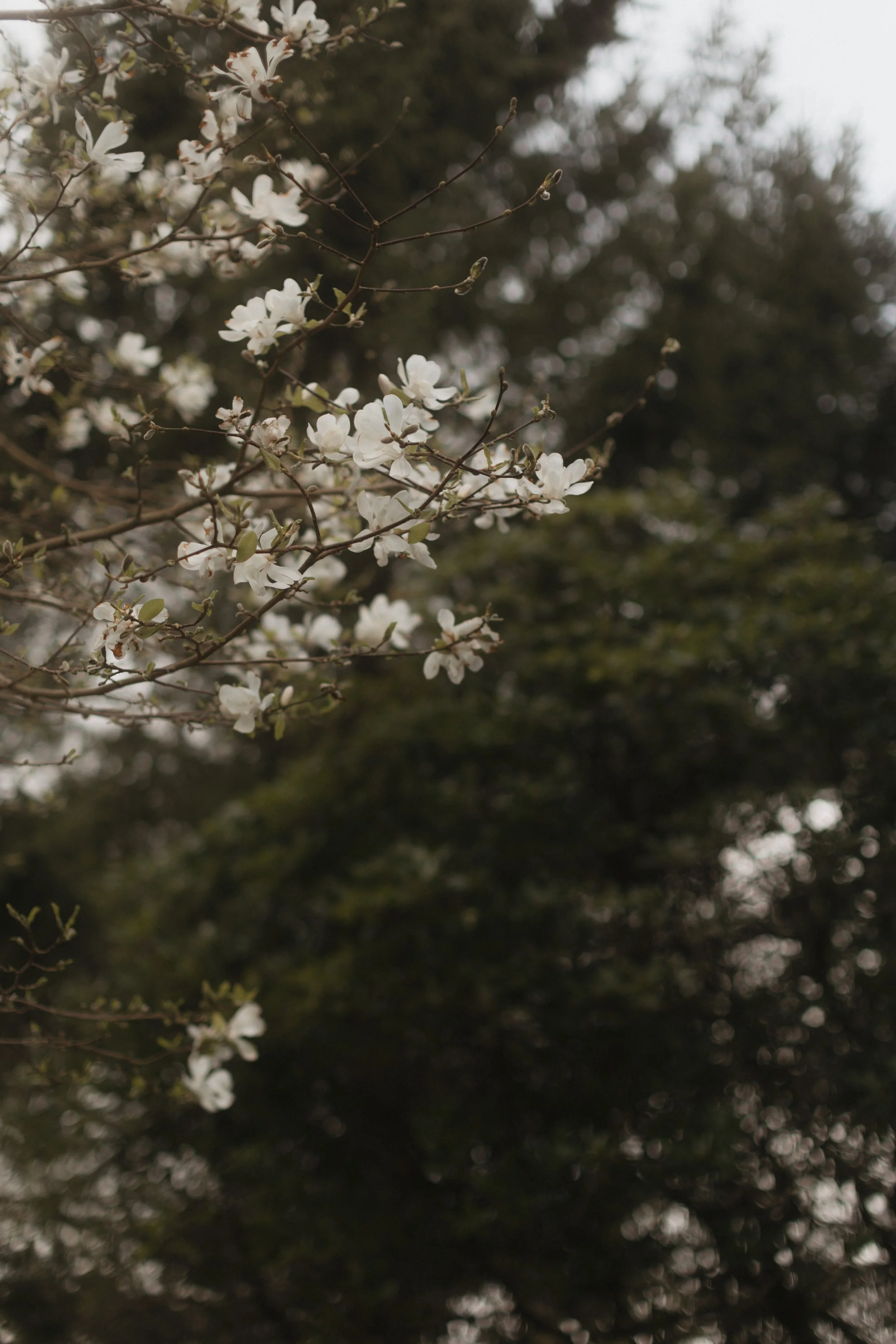 Lake District Wedding Photographer Relaxed Natural Laidback Fun Wedding -11.jpg