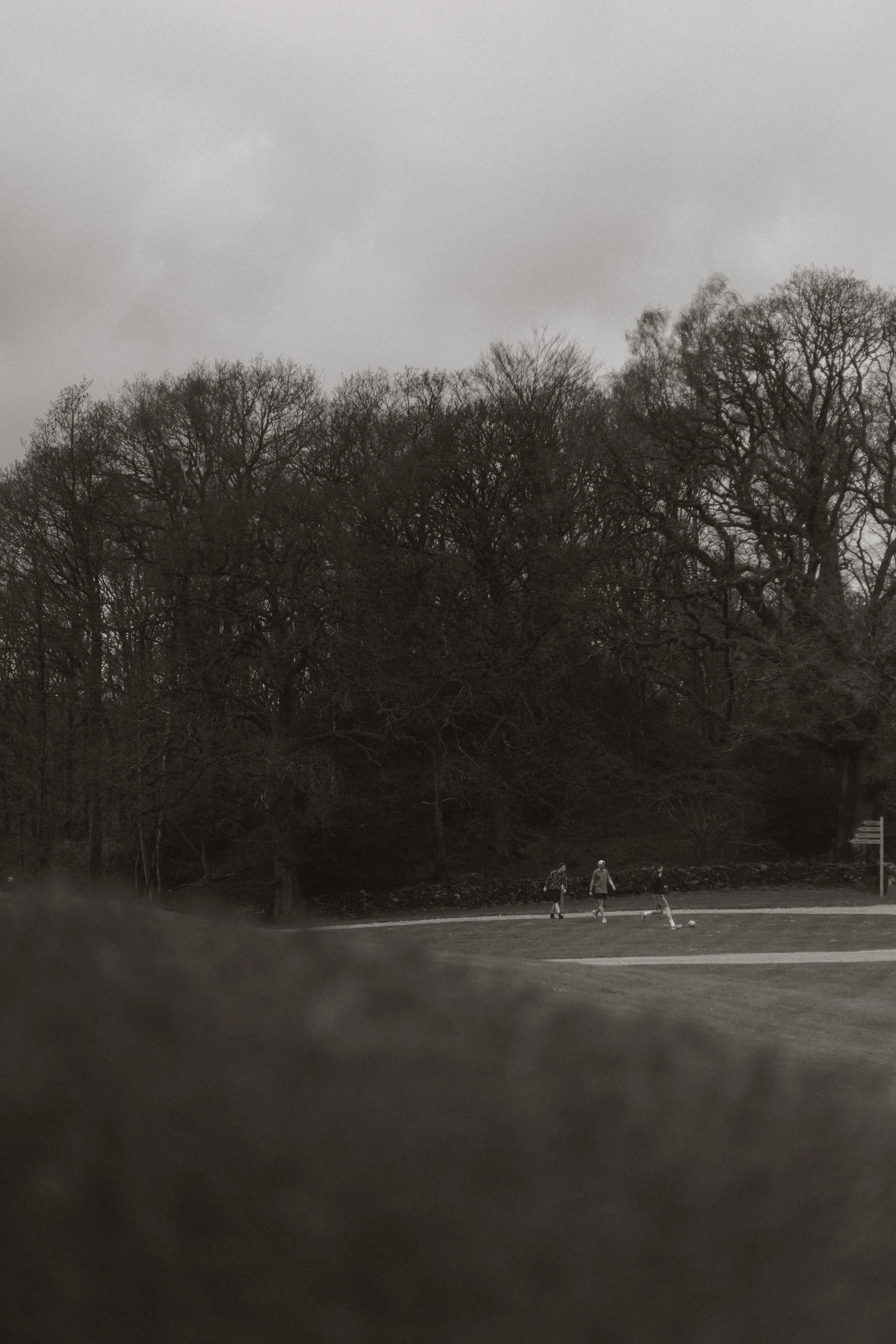 Lake District Wedding Photographer Relaxed Natural Laidback Fun Wedding -22.jpg