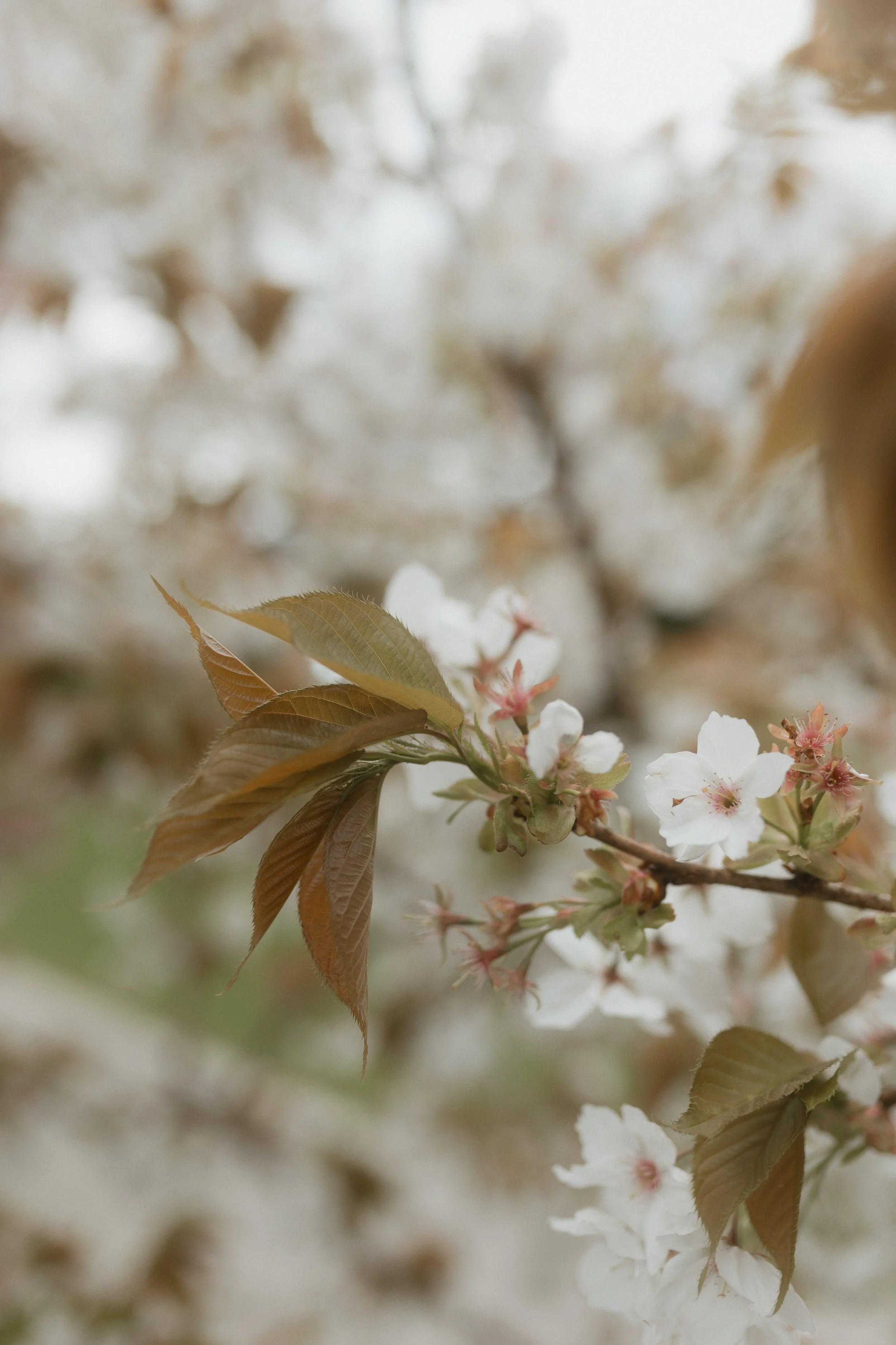 Lake District Wedding Photographer Relaxed Natural Laidback Fun Wedding -39.jpg