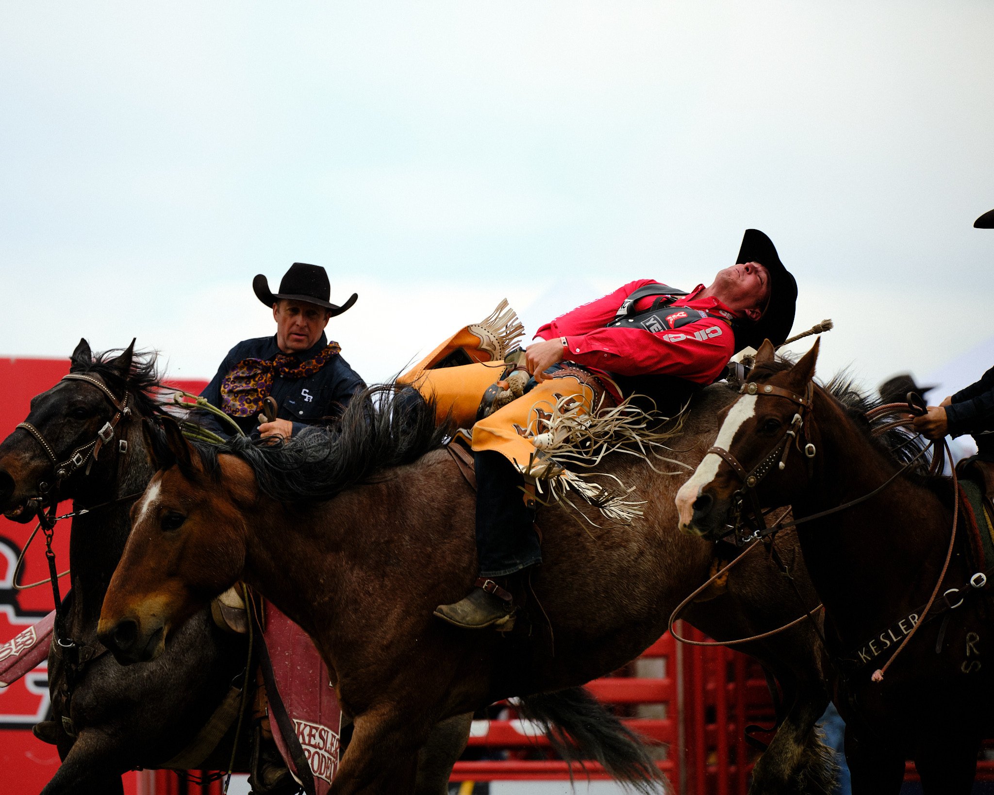 CloverdaleRodeo 3.jpg