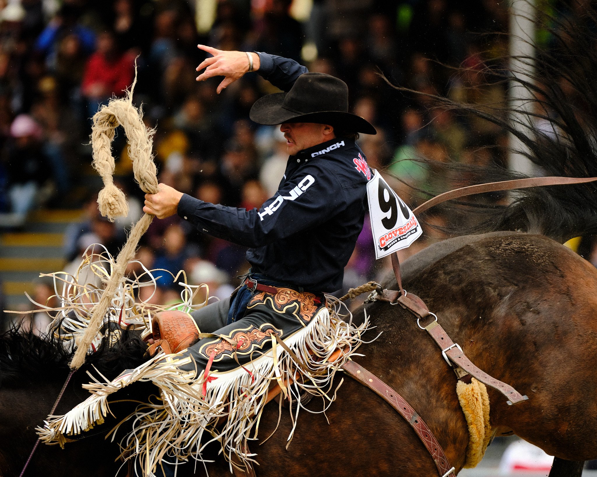 CloverdaleRodeo 4.jpg