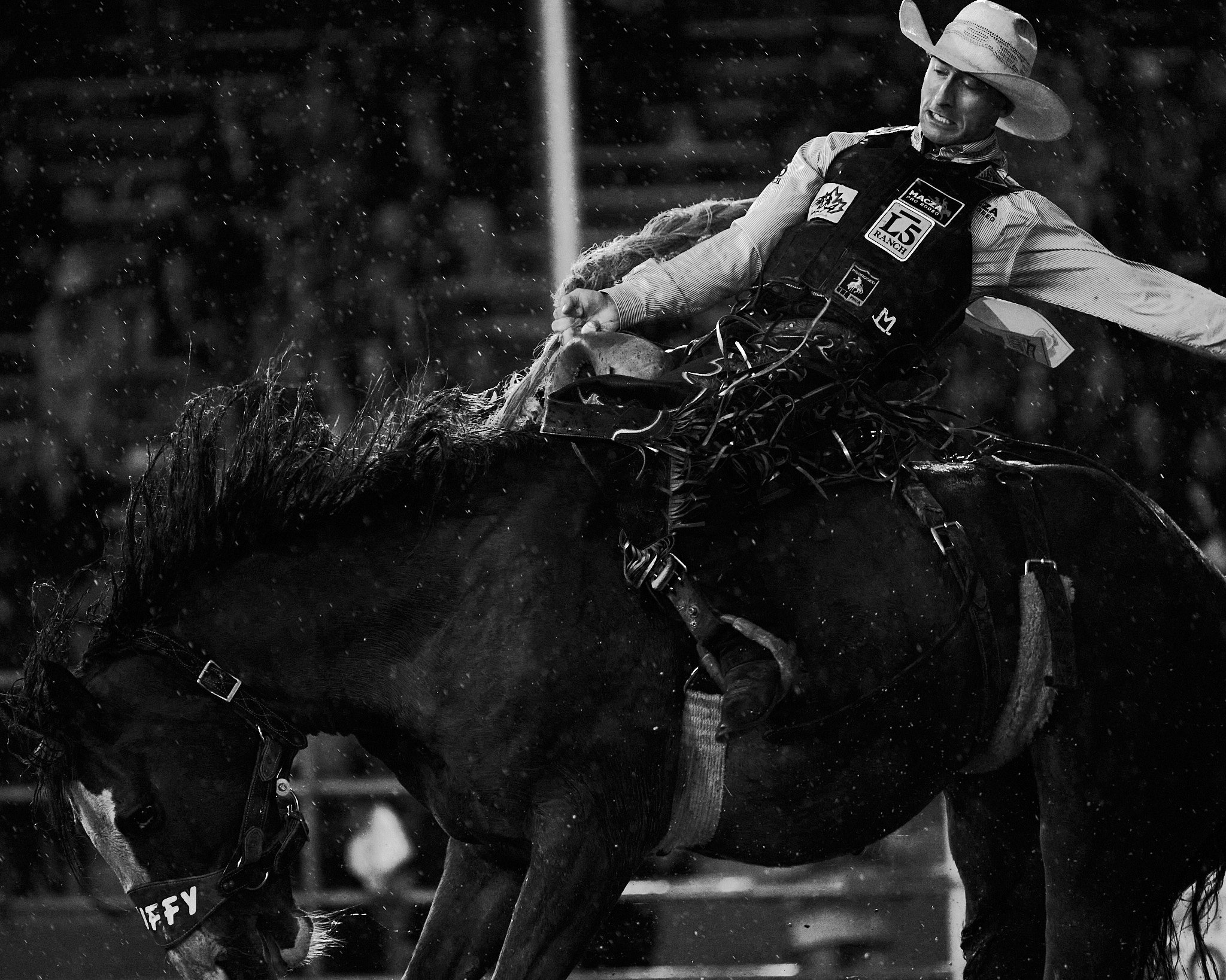 CloverdaleRodeo 16.jpg