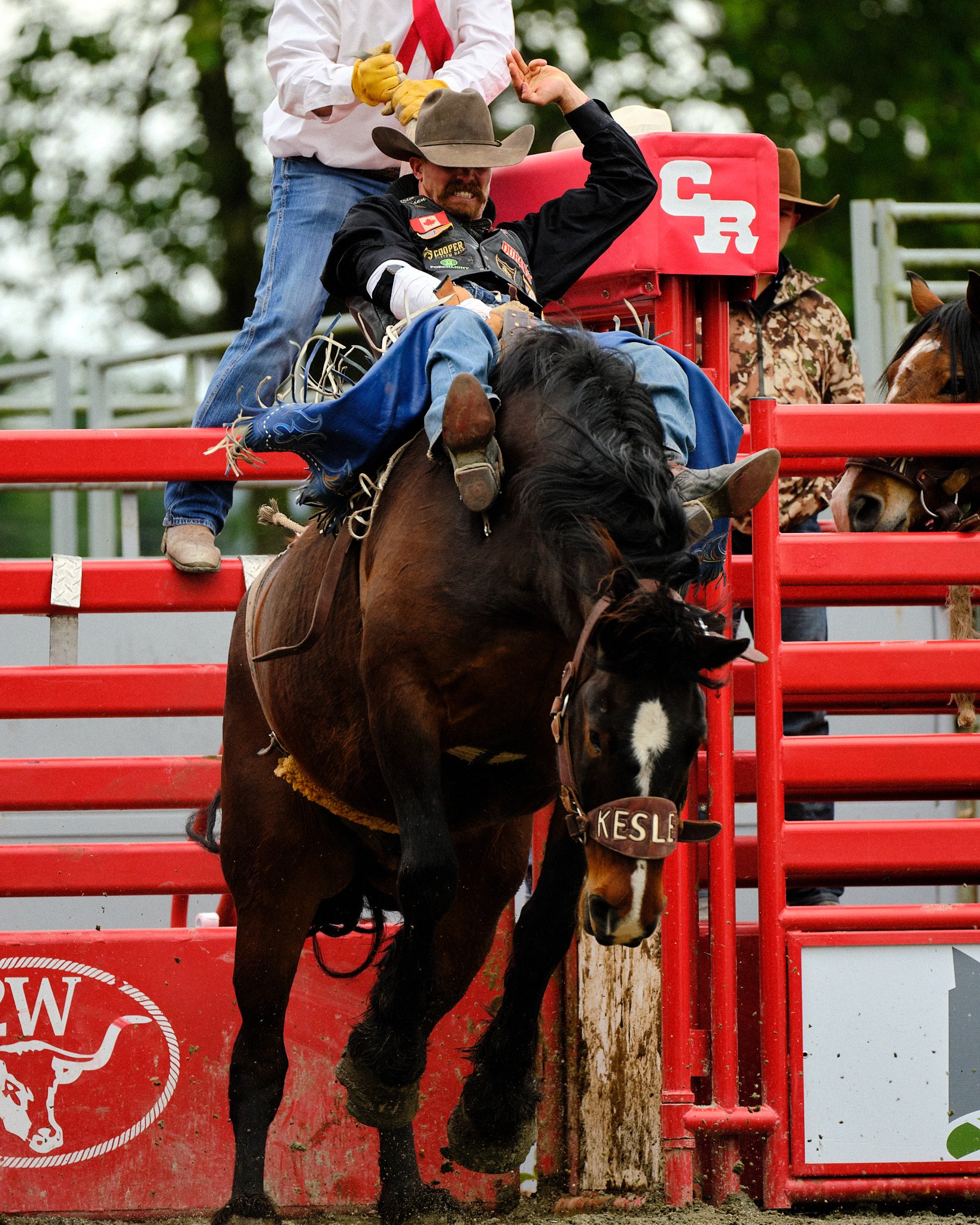 CloverdaleRodeo.jpg