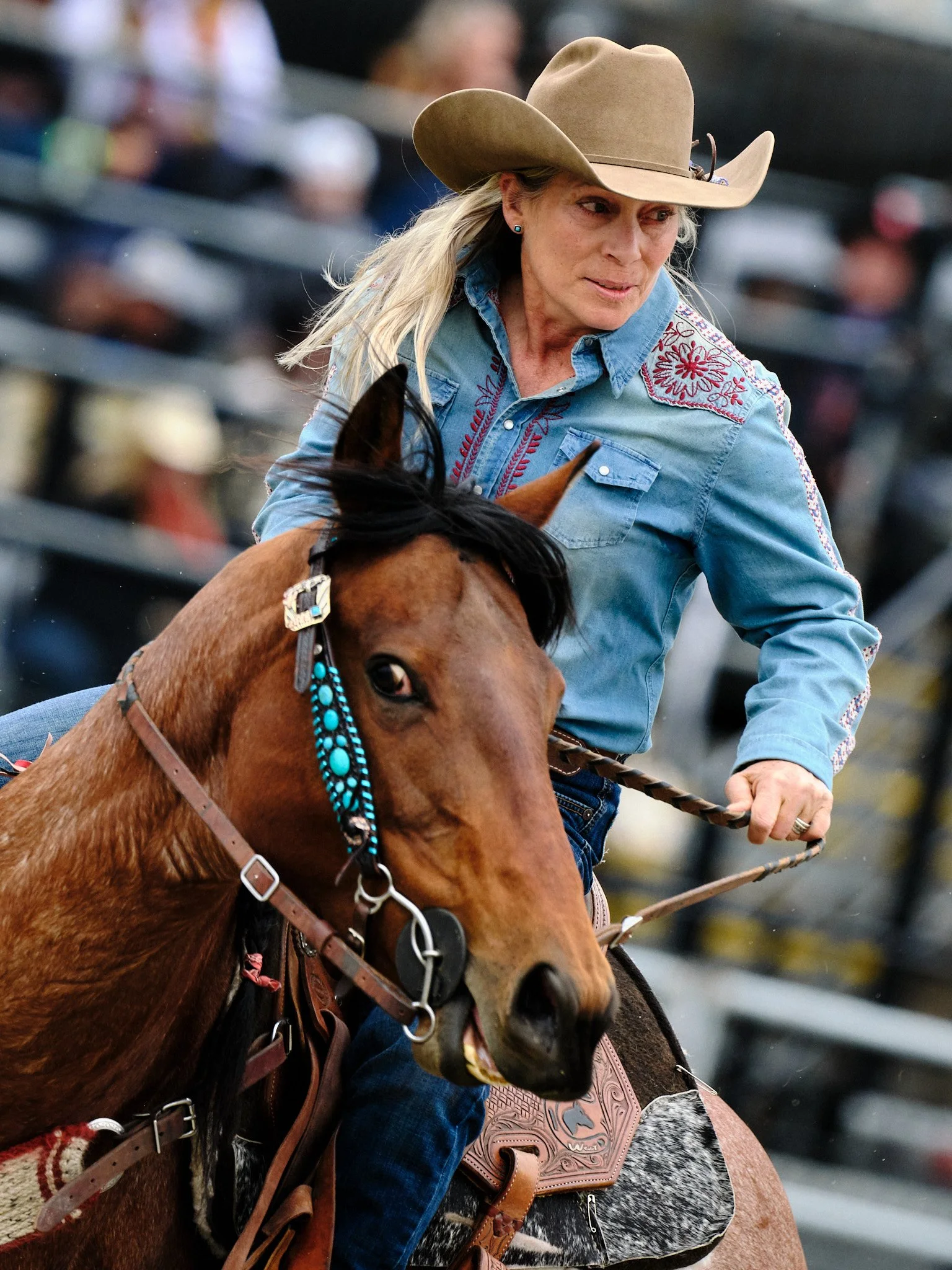 Cloverdale_Rodeo 1.jpg