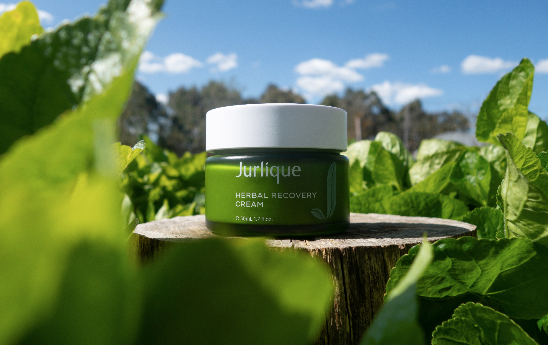 Screenshot 2026-03-27 at 17.46.51.png